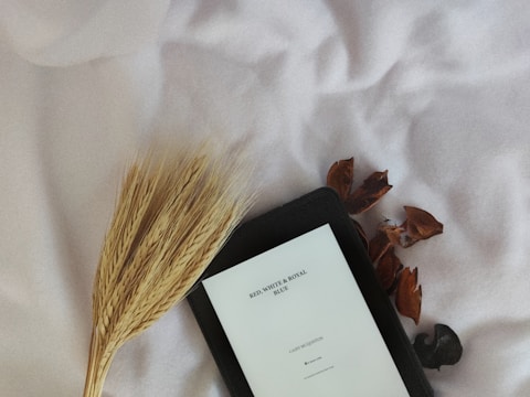 A book titled 'Red, White & Royal Blue' rests on a soft white surface next to a small bundle of dried wheat and a few scattered brown leaves.