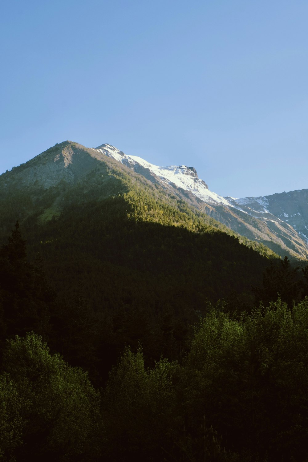 a view of a mountain with trees in the foreground