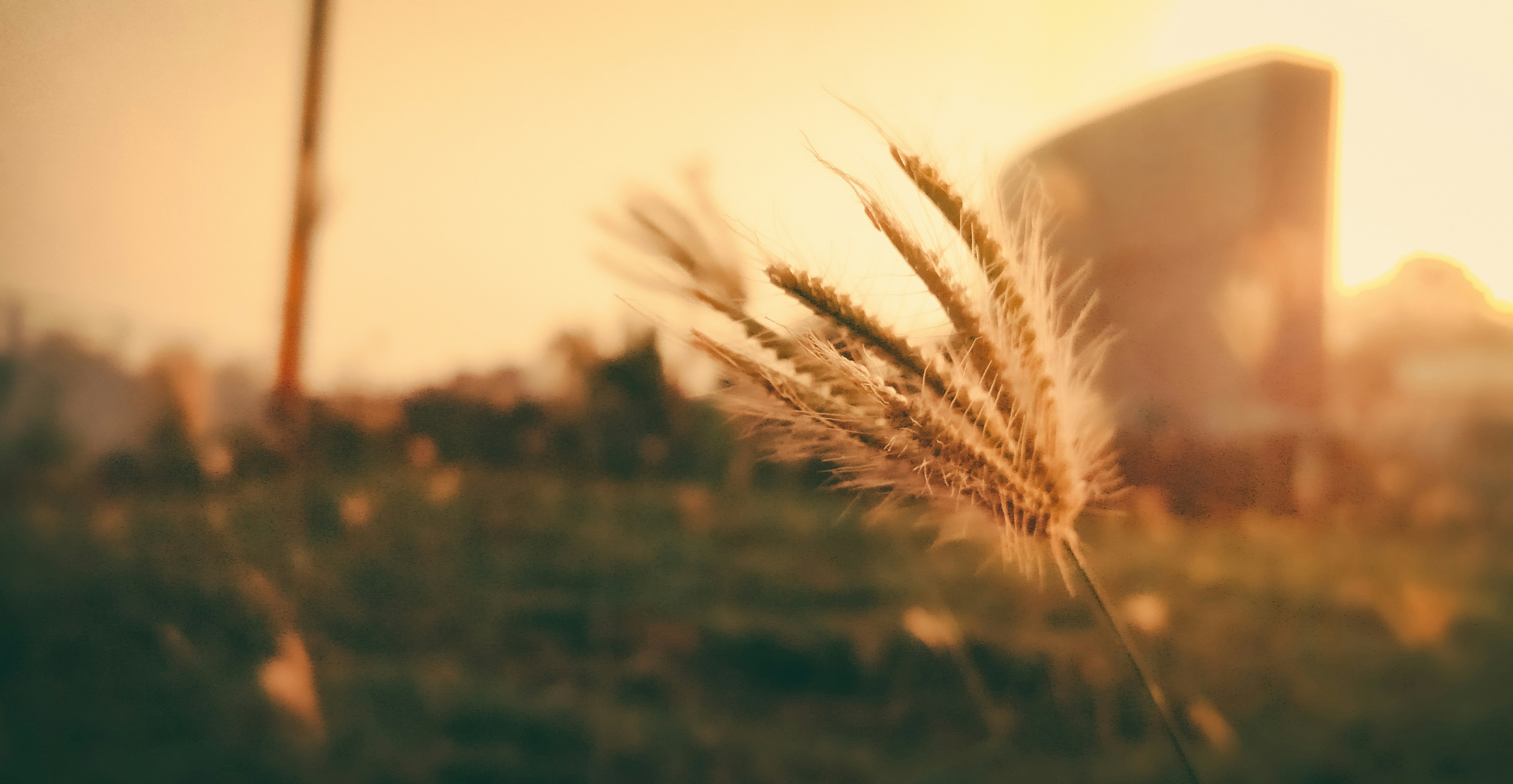 Photo by skyphotos_5699