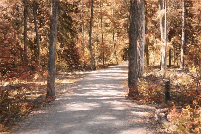A peaceful mountain trail framed by autumn foliage in warm beige and olive tones.