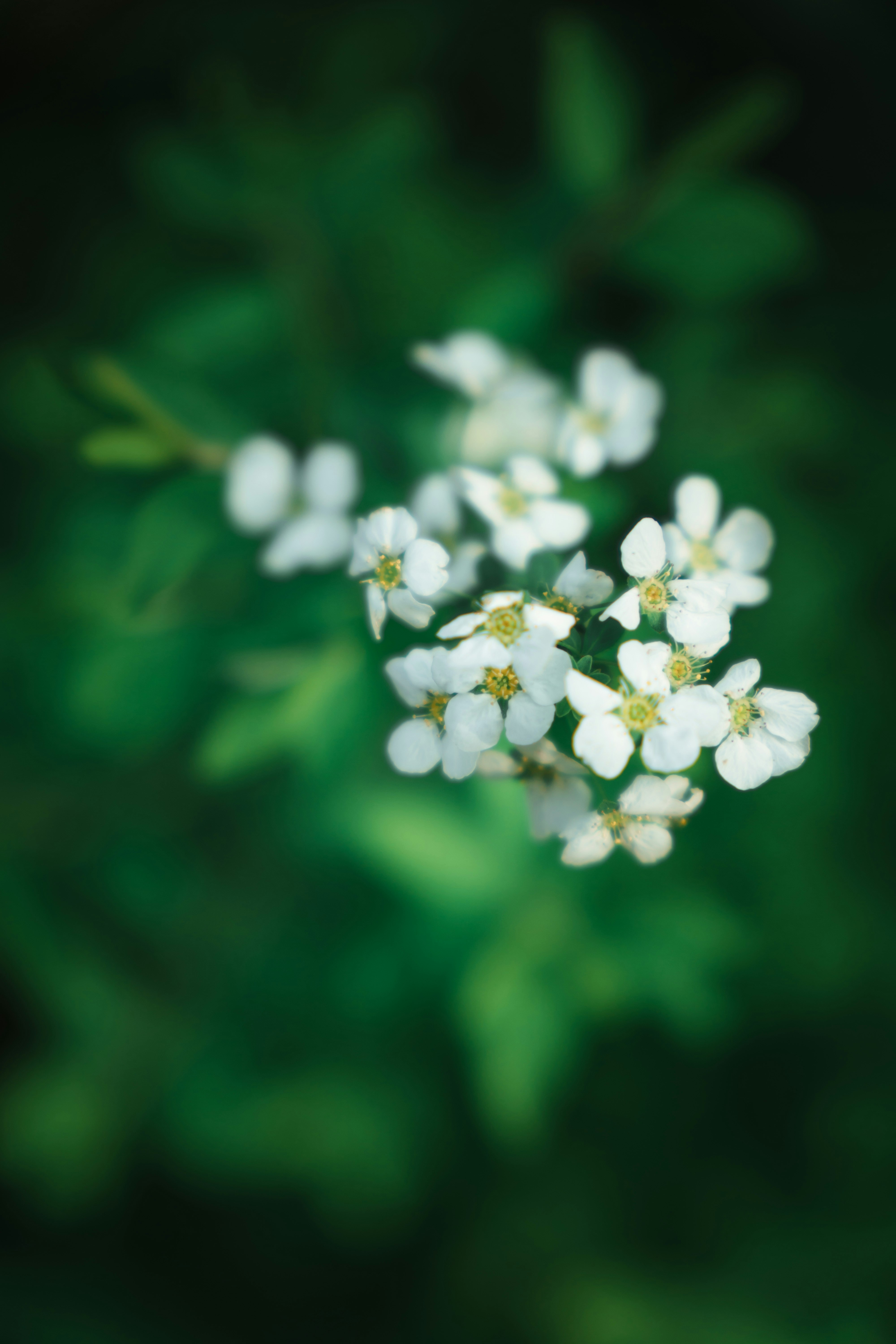 Photo by peterwang1996