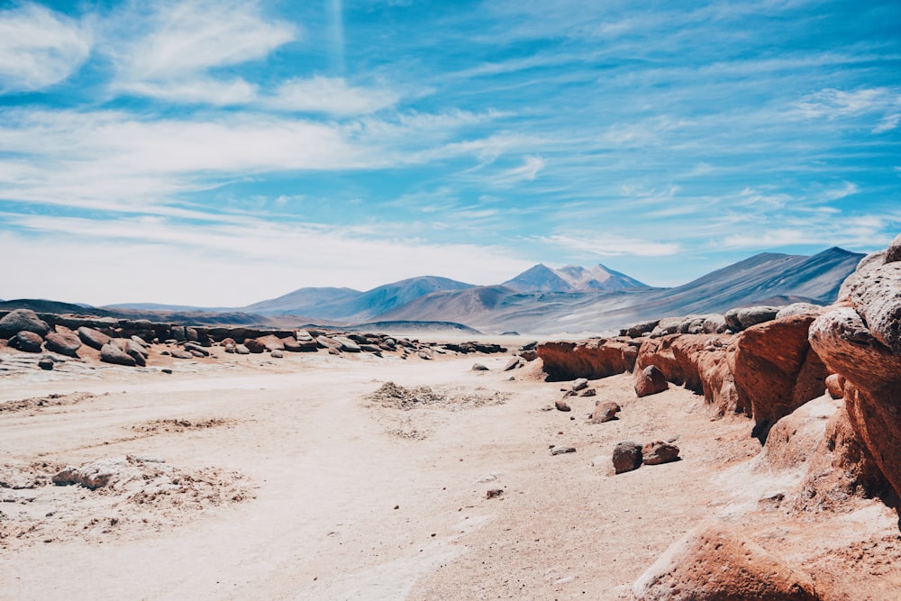 a dirt road in the middle of a desert