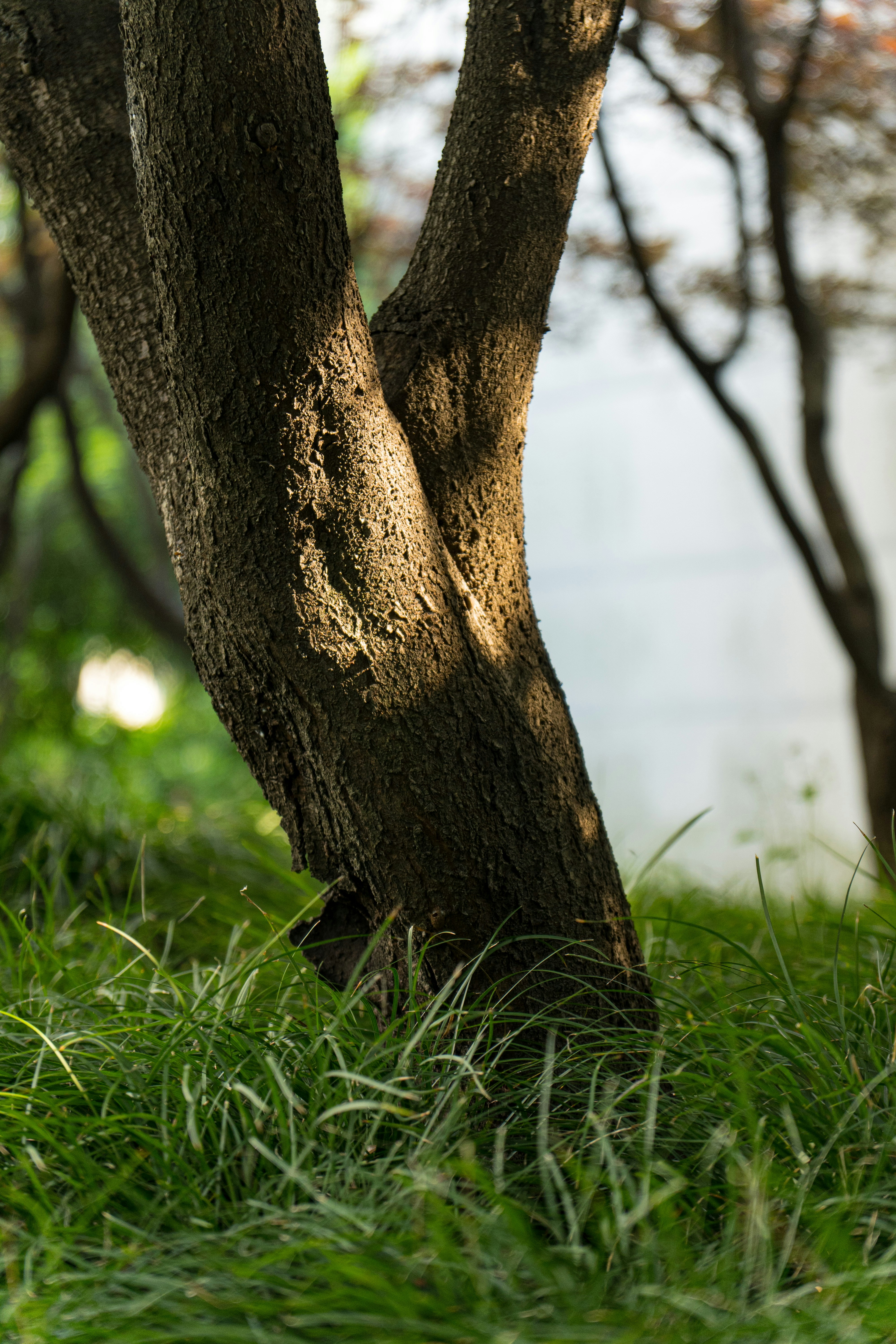 Photo by peterwang1996