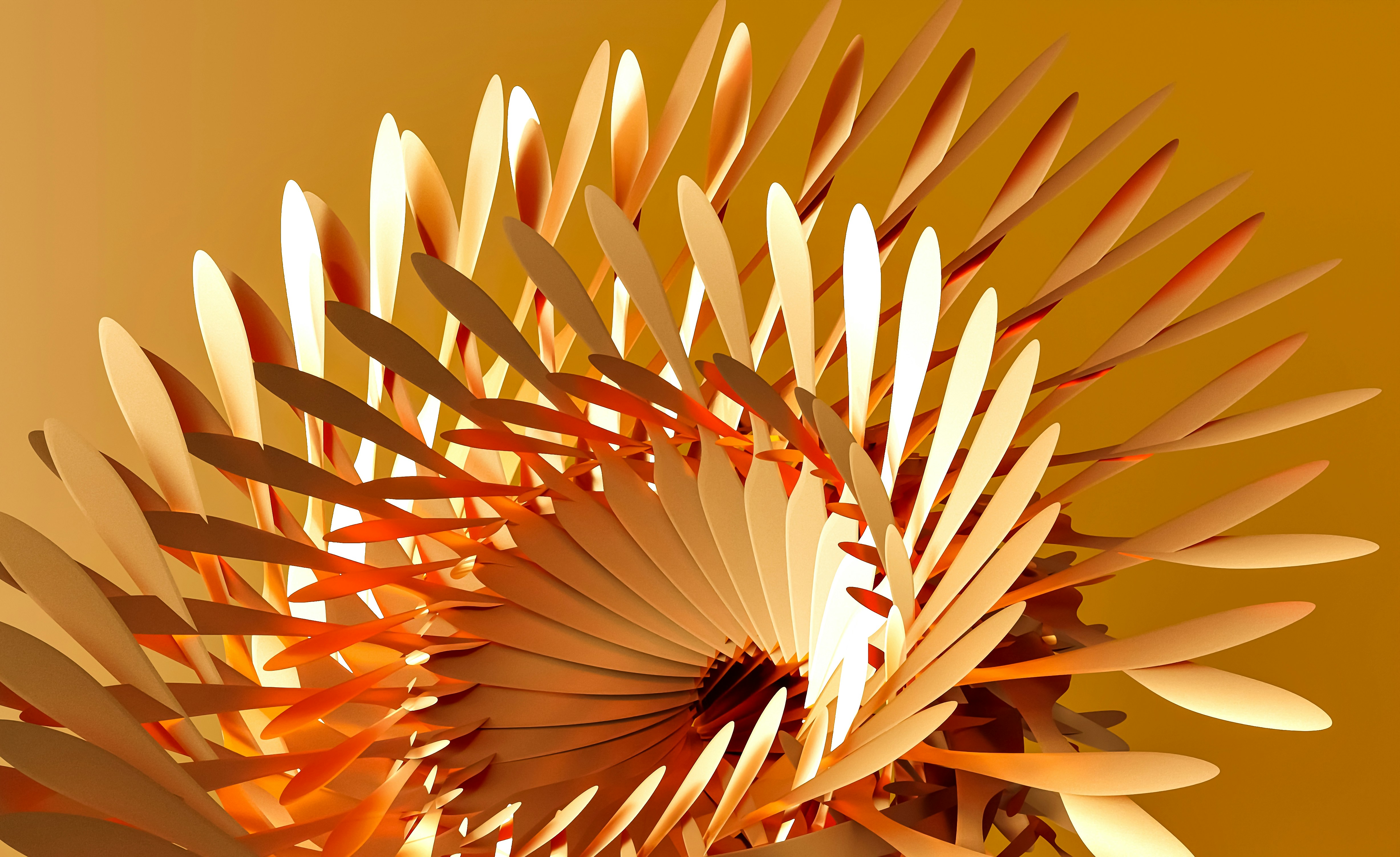 BT Management Update - January 26, 2024