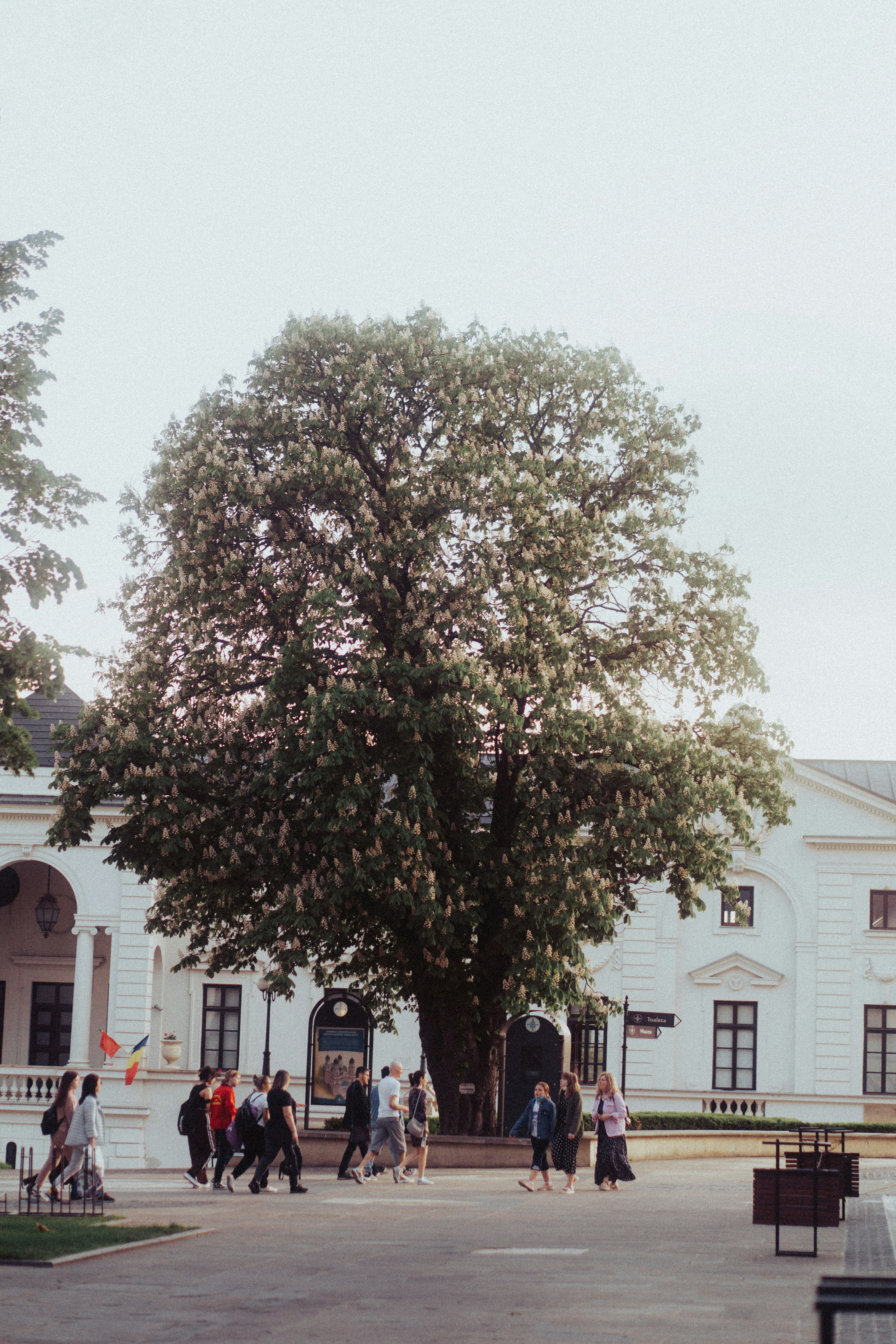 Photo by mateipruteanu