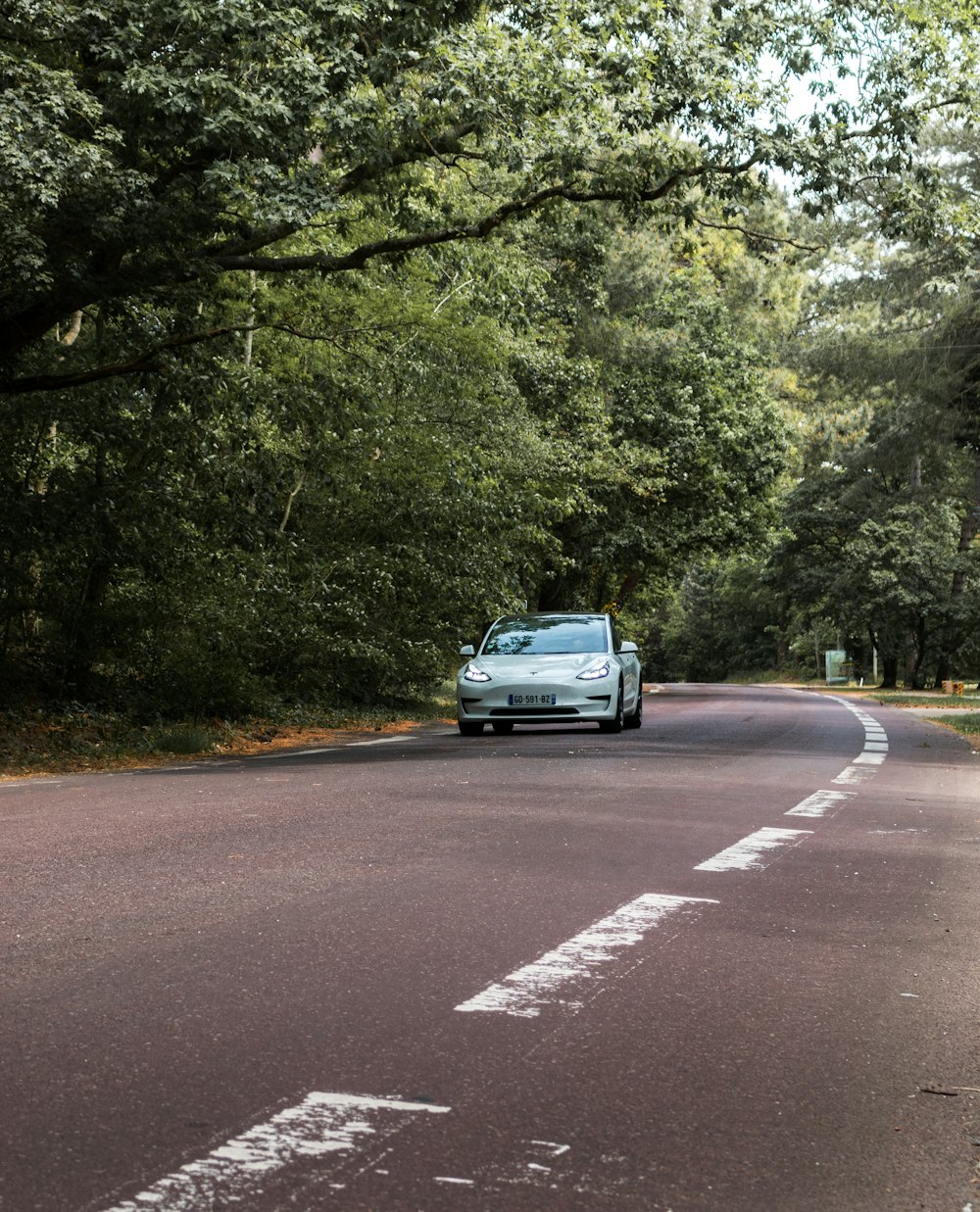 a white car driving down a tree lined road