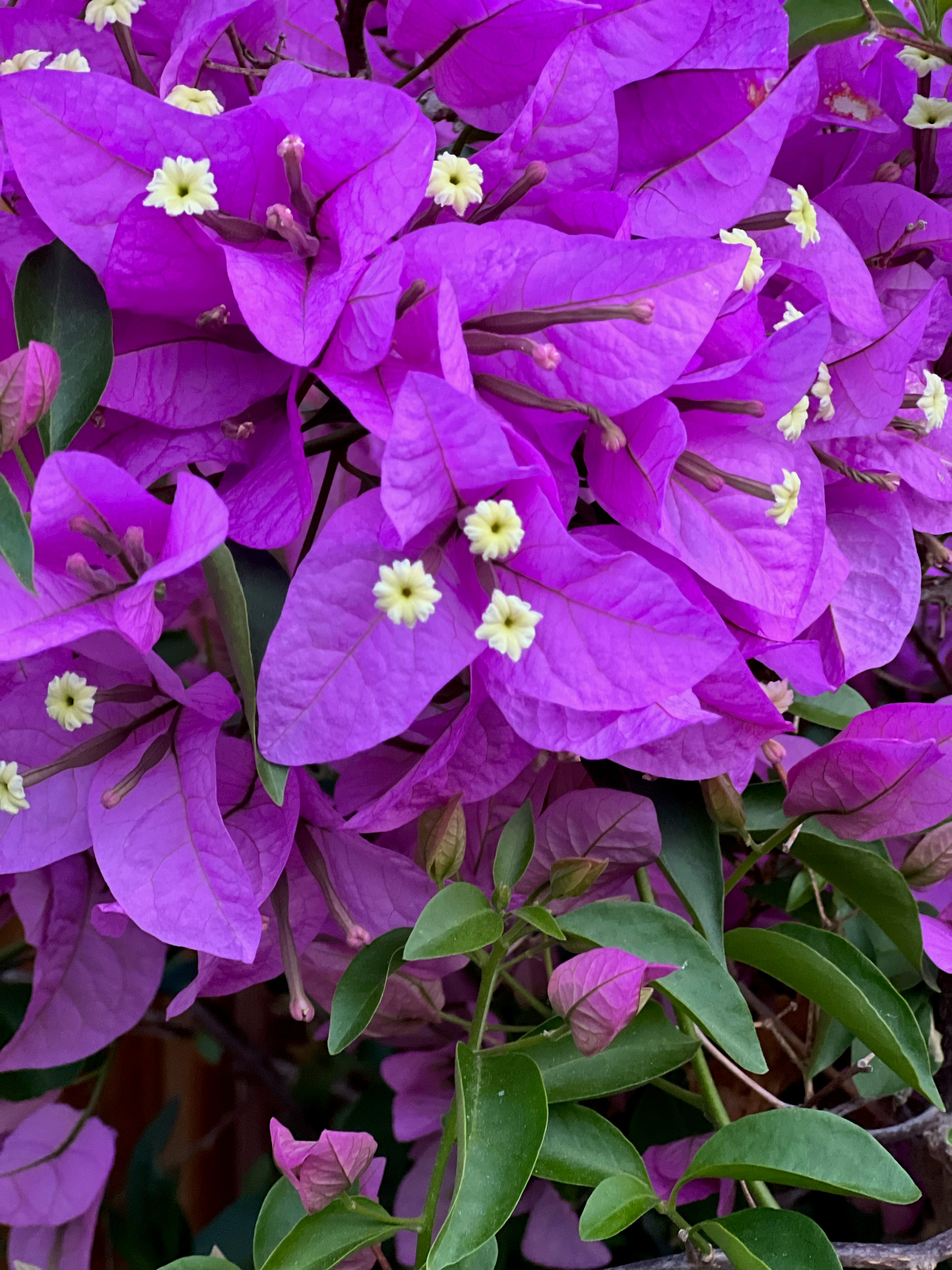 Photo by godlovesyou21