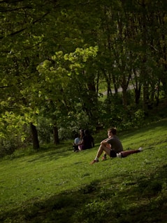 A serene outdoor scene with a learner practicing language flashcards in a park.