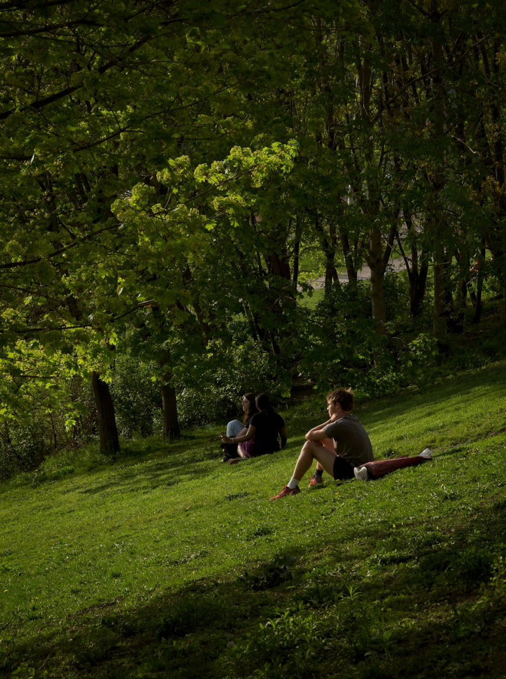 a group of people sitting on top of a lush green field