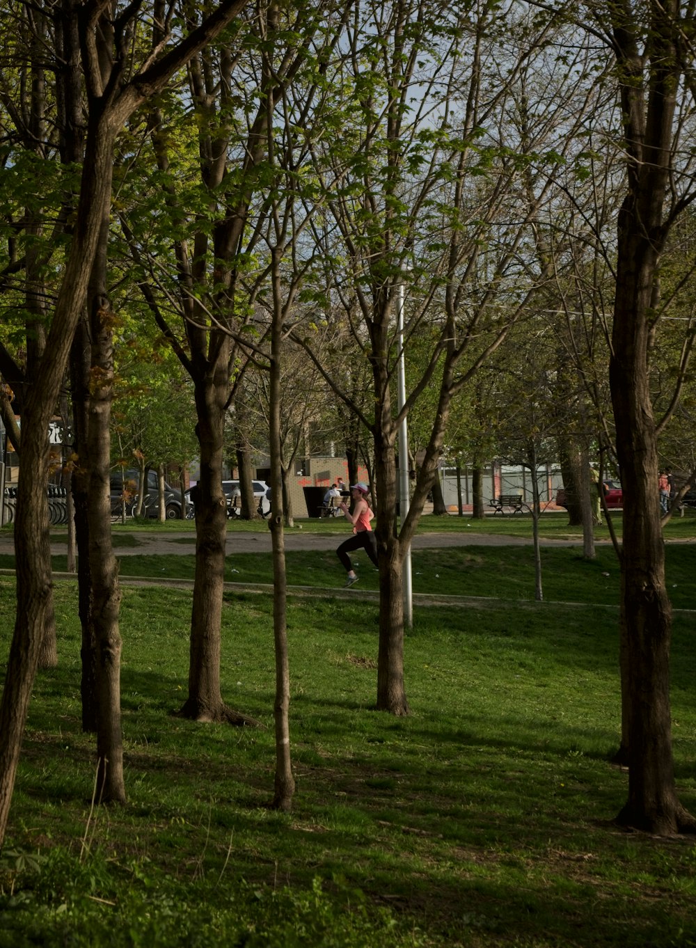 a park with lots of trees and a person on a skateboard