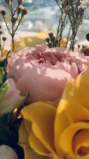 A close-up of a delicate bouquet featuring soft pink peonies and white roses in natural light.