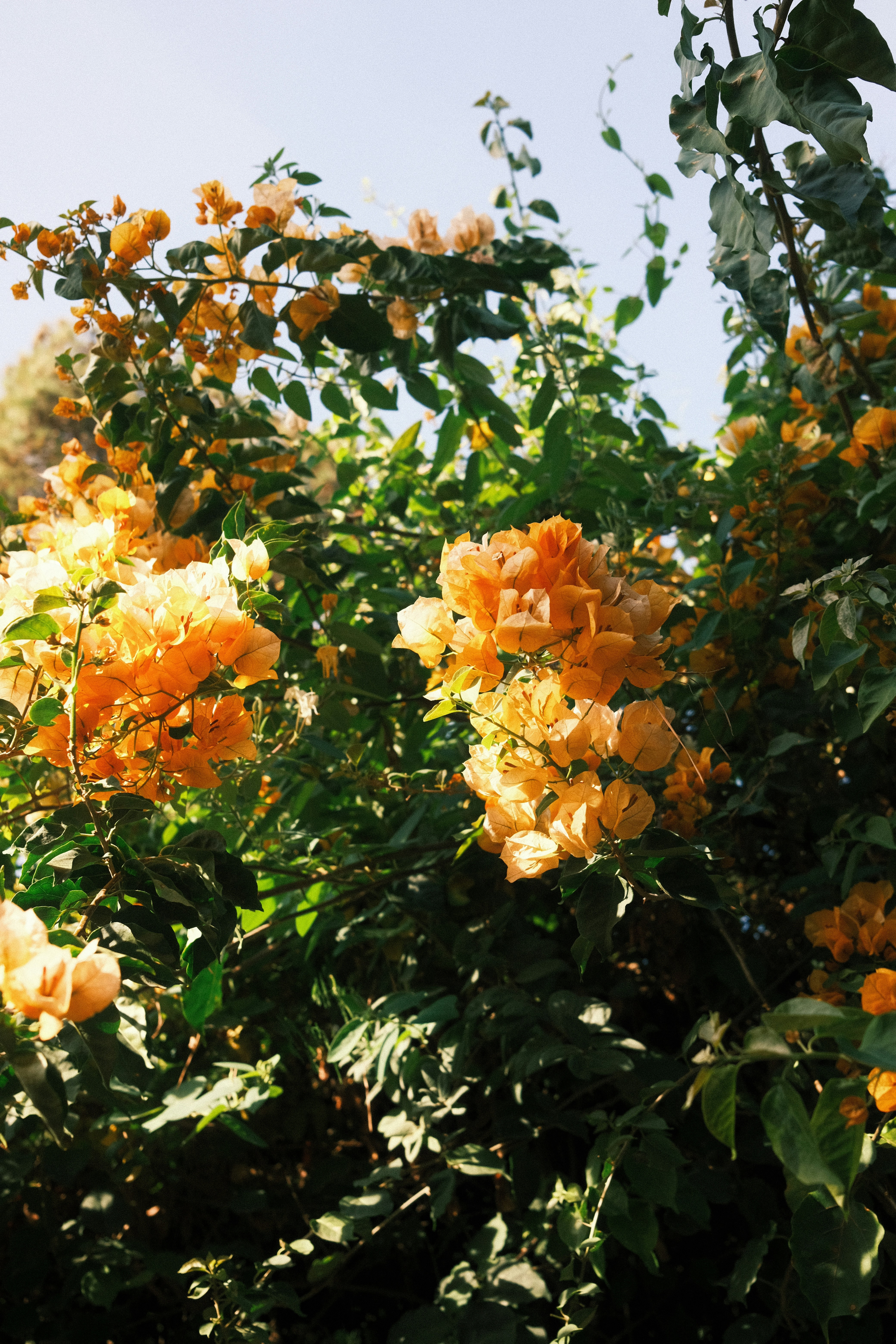 Photo by bilouyassine