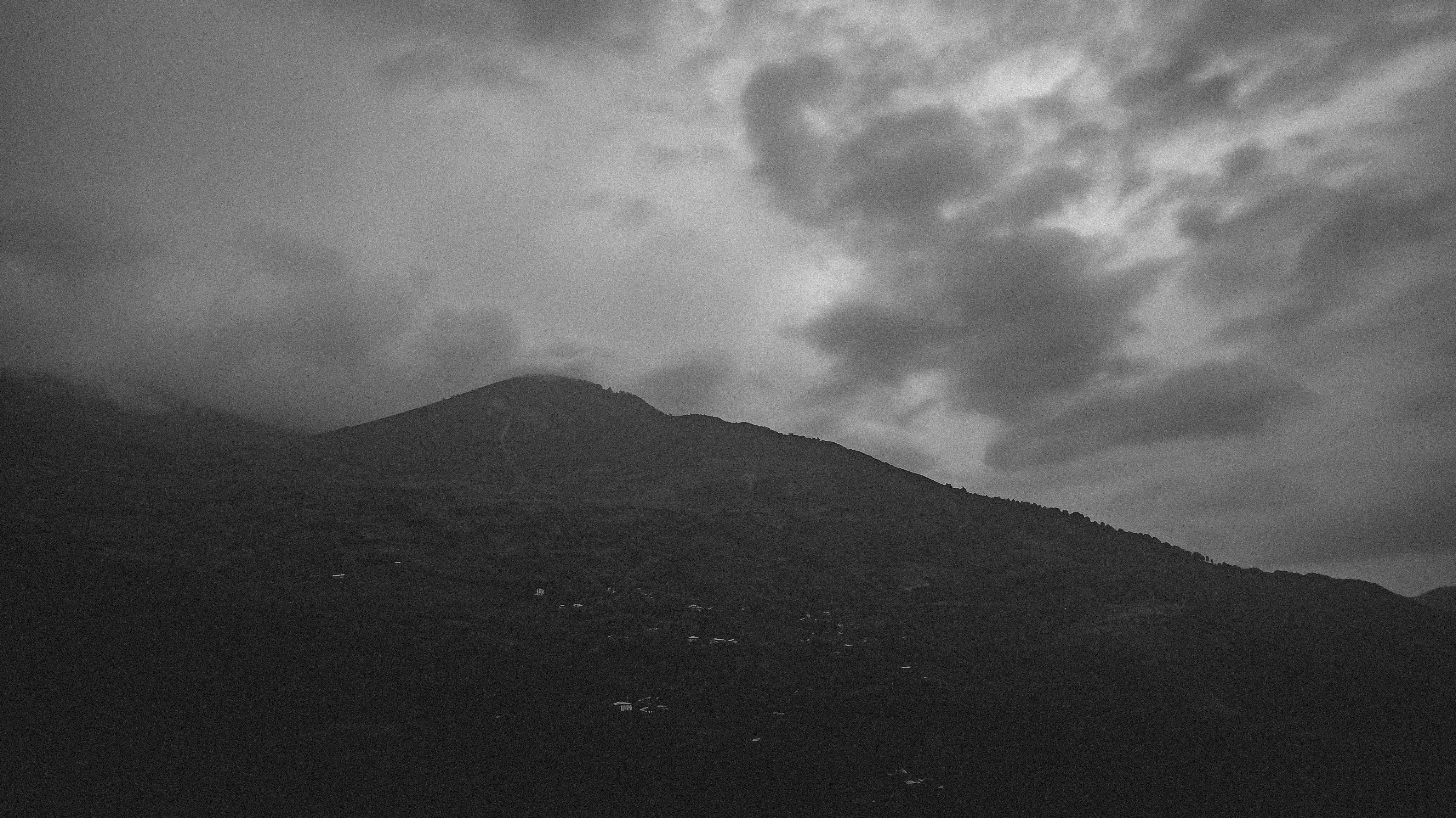 Photo by javadmurdock