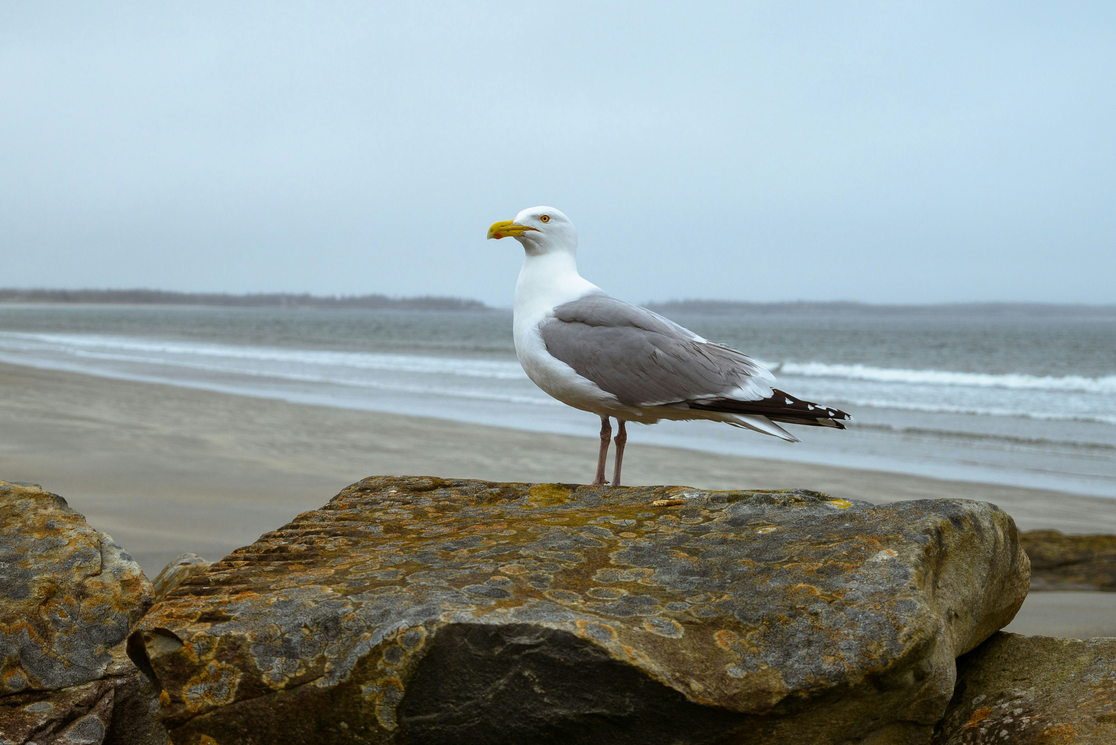 Photo by chengzhanhong