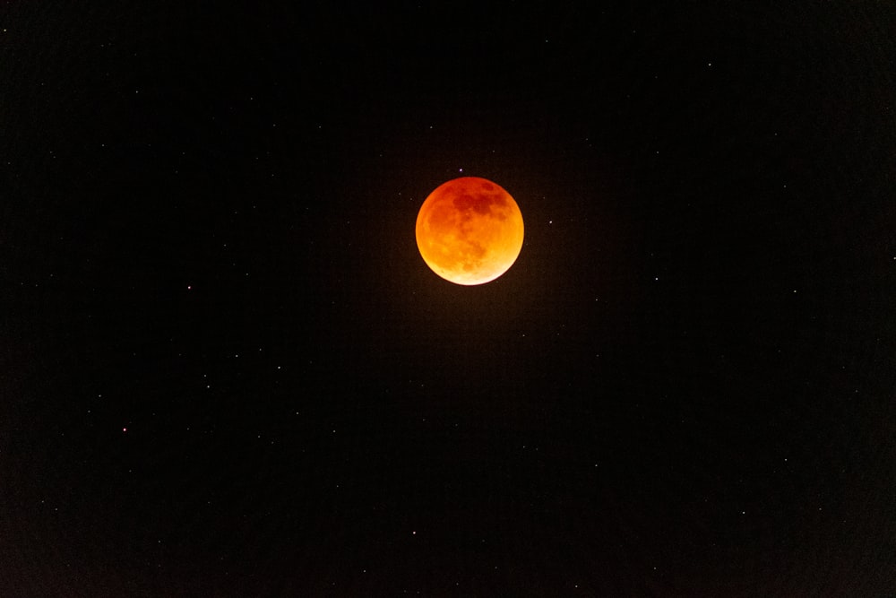 Una luna di sangue è vista nel cielo notturno
