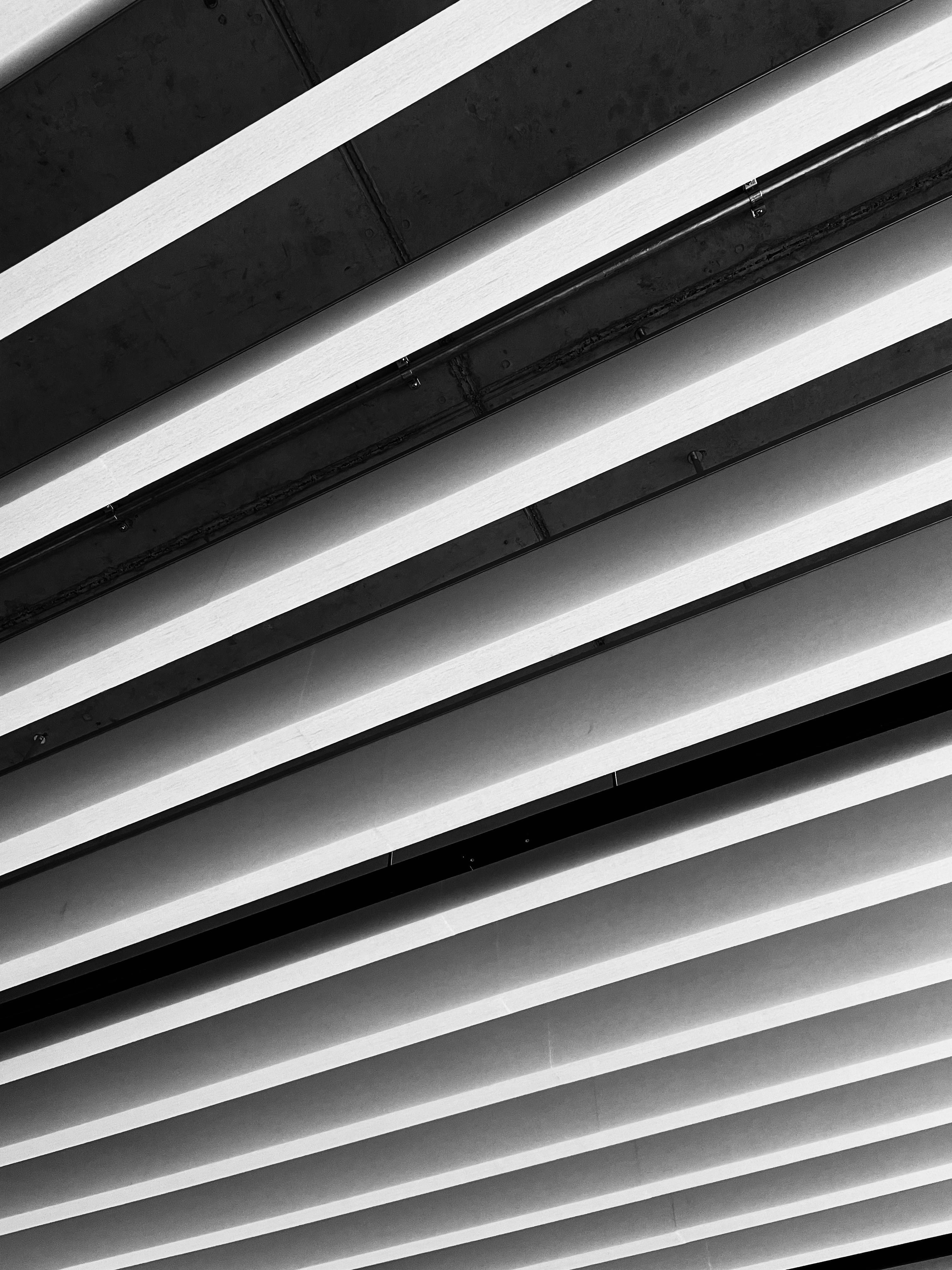 Photo by luis_de_leon