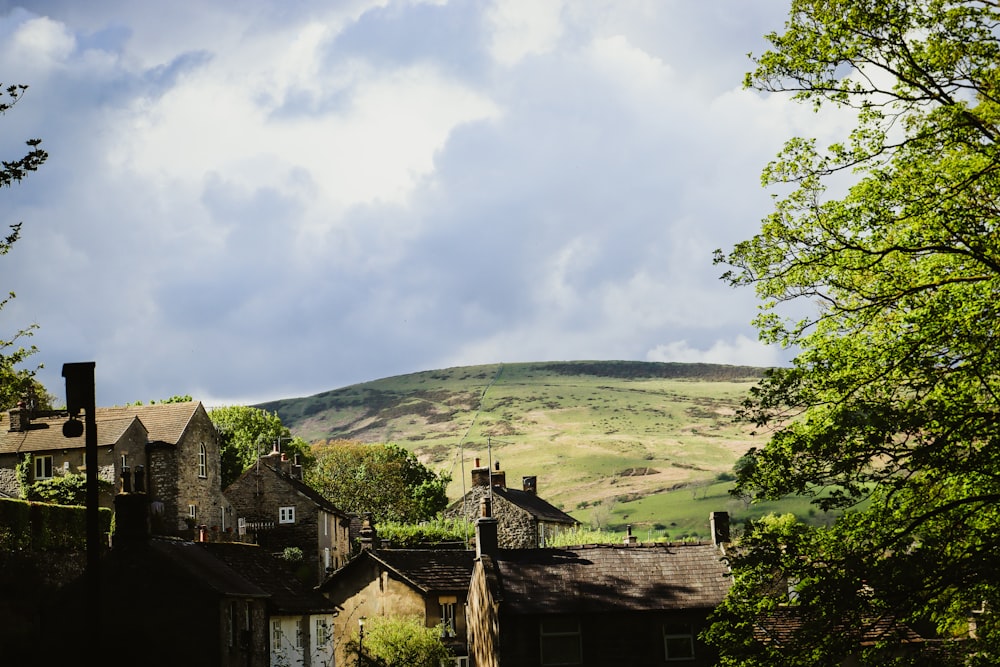 a view of a village with a mountain in the background