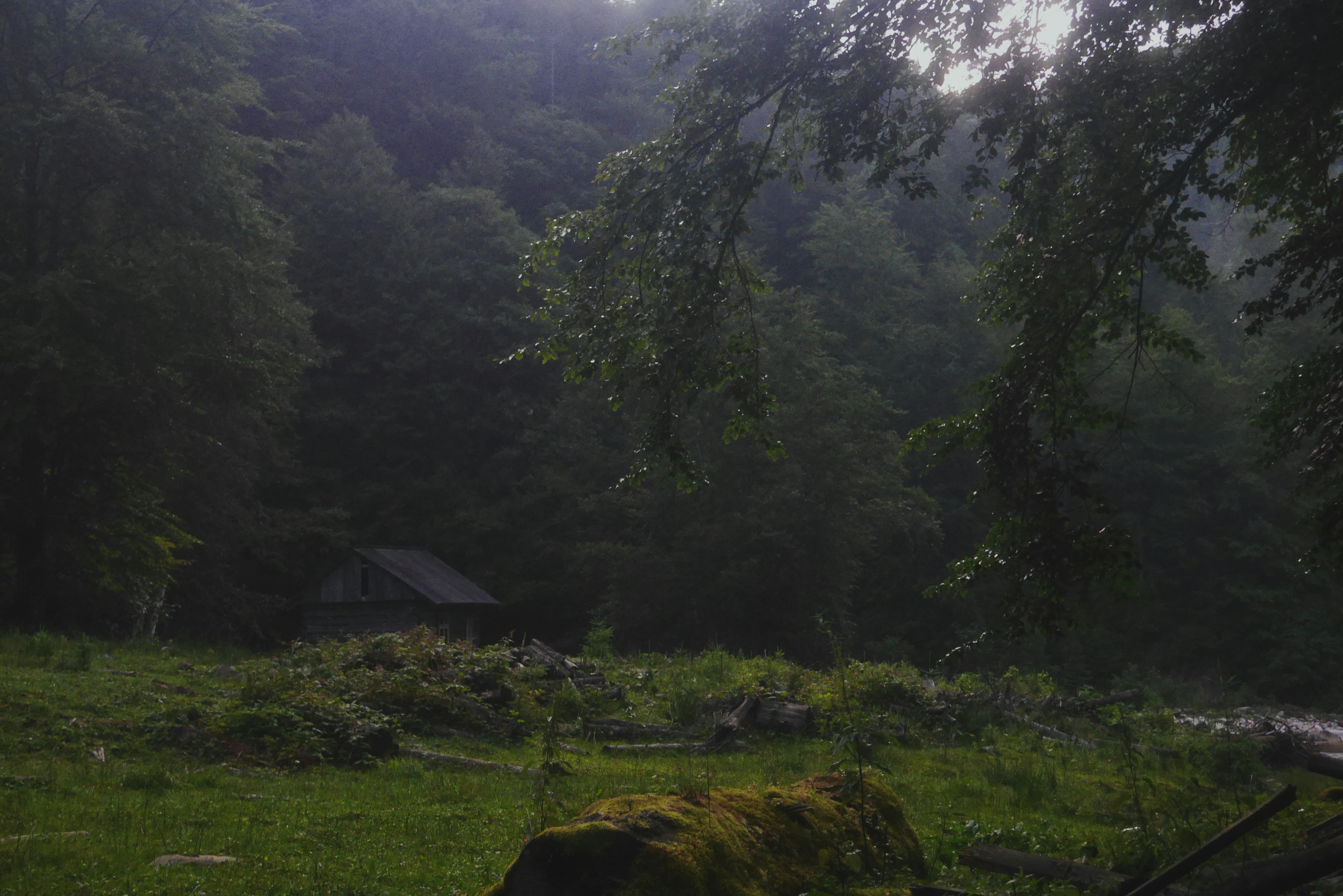 Photo by mykytashamota