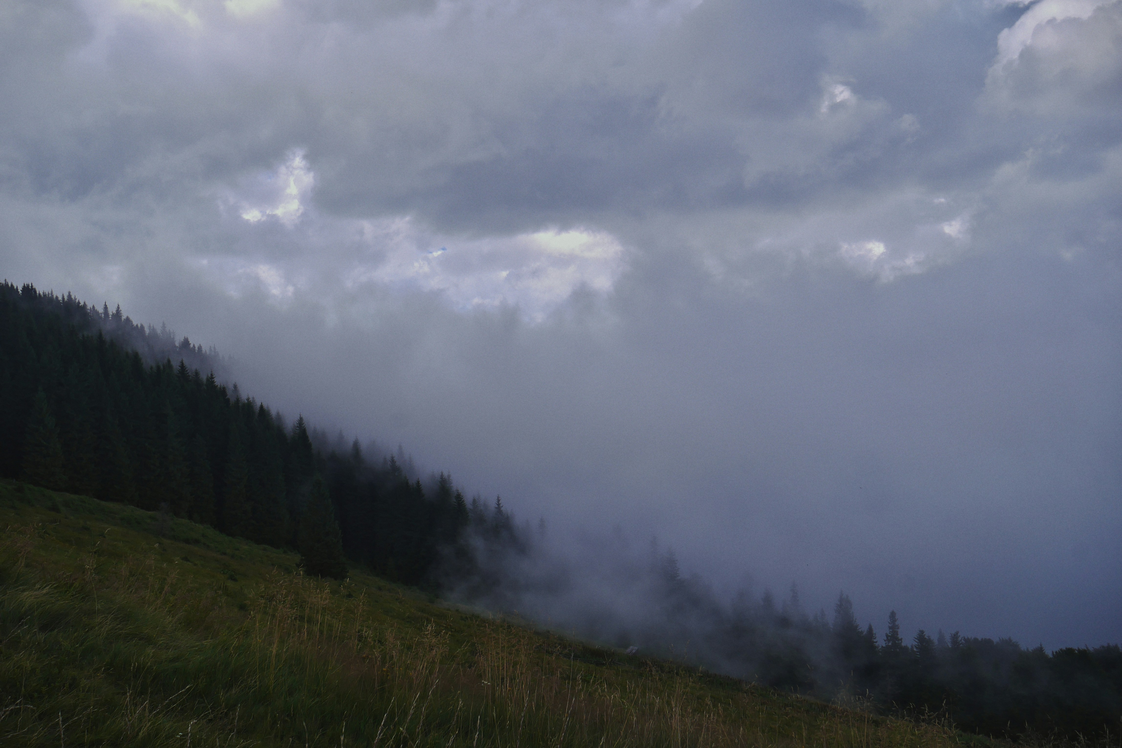 a grassy field with trees and clouds in the background
