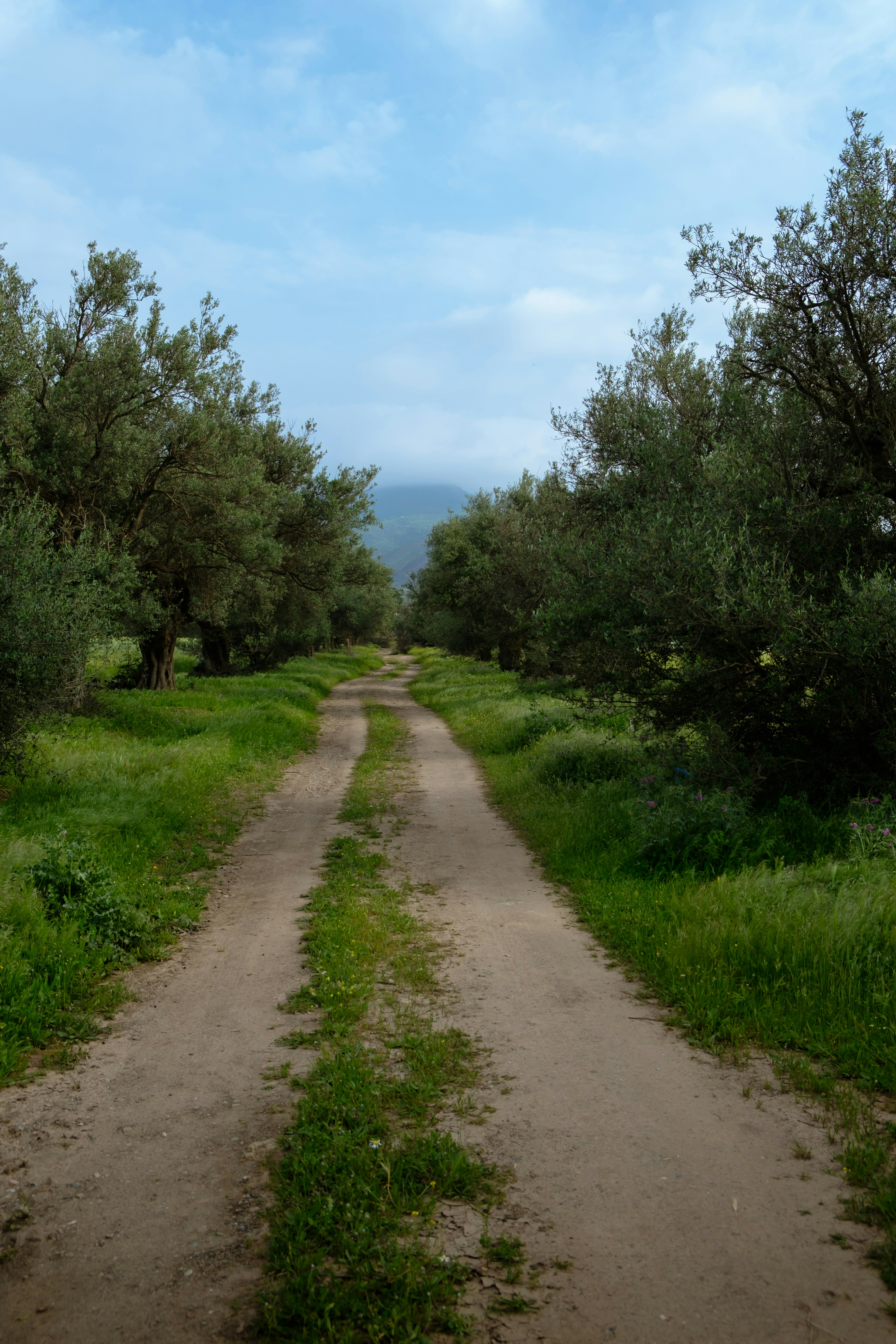 Photo by fethibenattallah