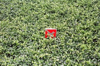 A red sign with a white diagonal line and a silhouette of a dog, placed in the middle of dense, lush green foliage.