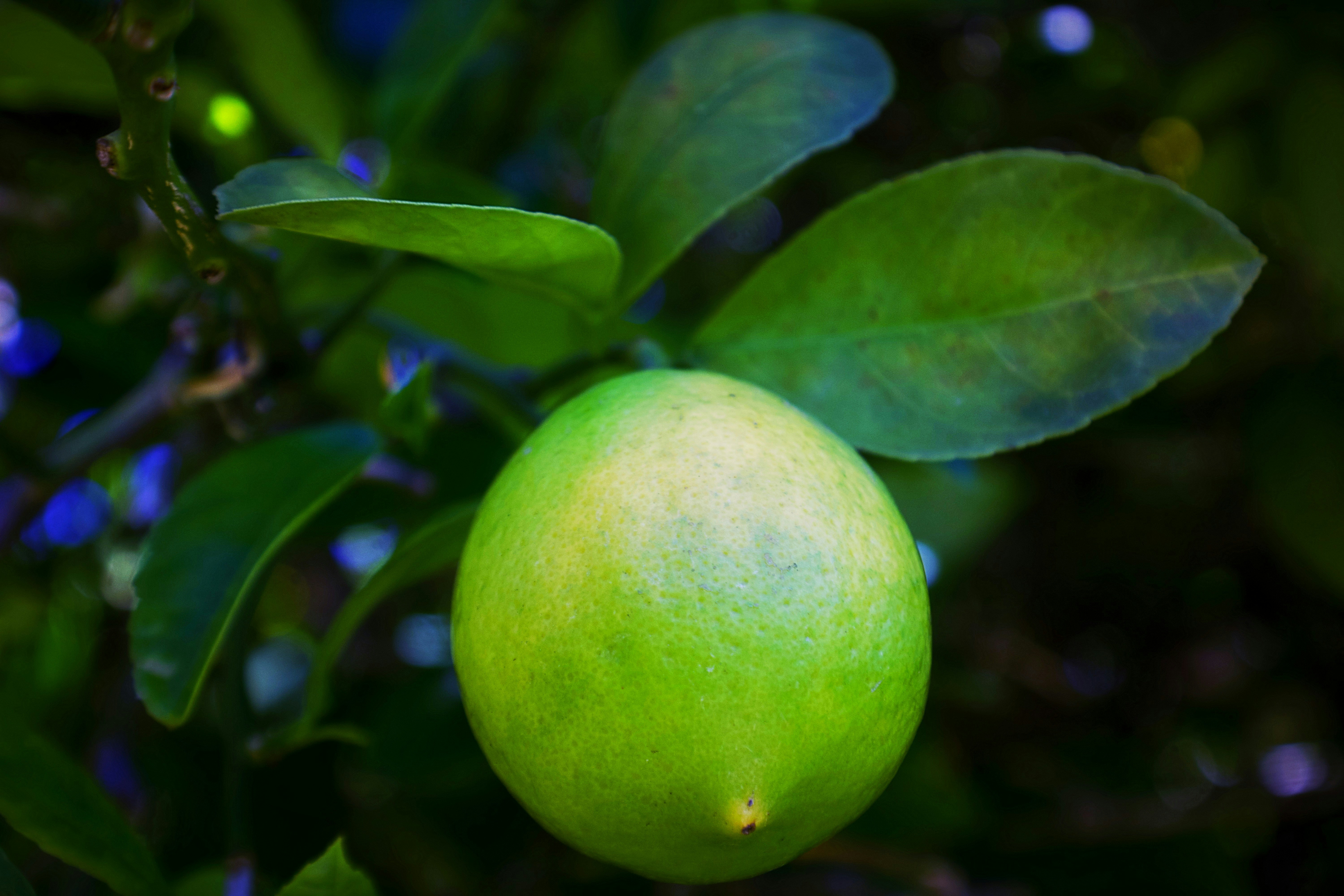 Photo by gabriellejace707