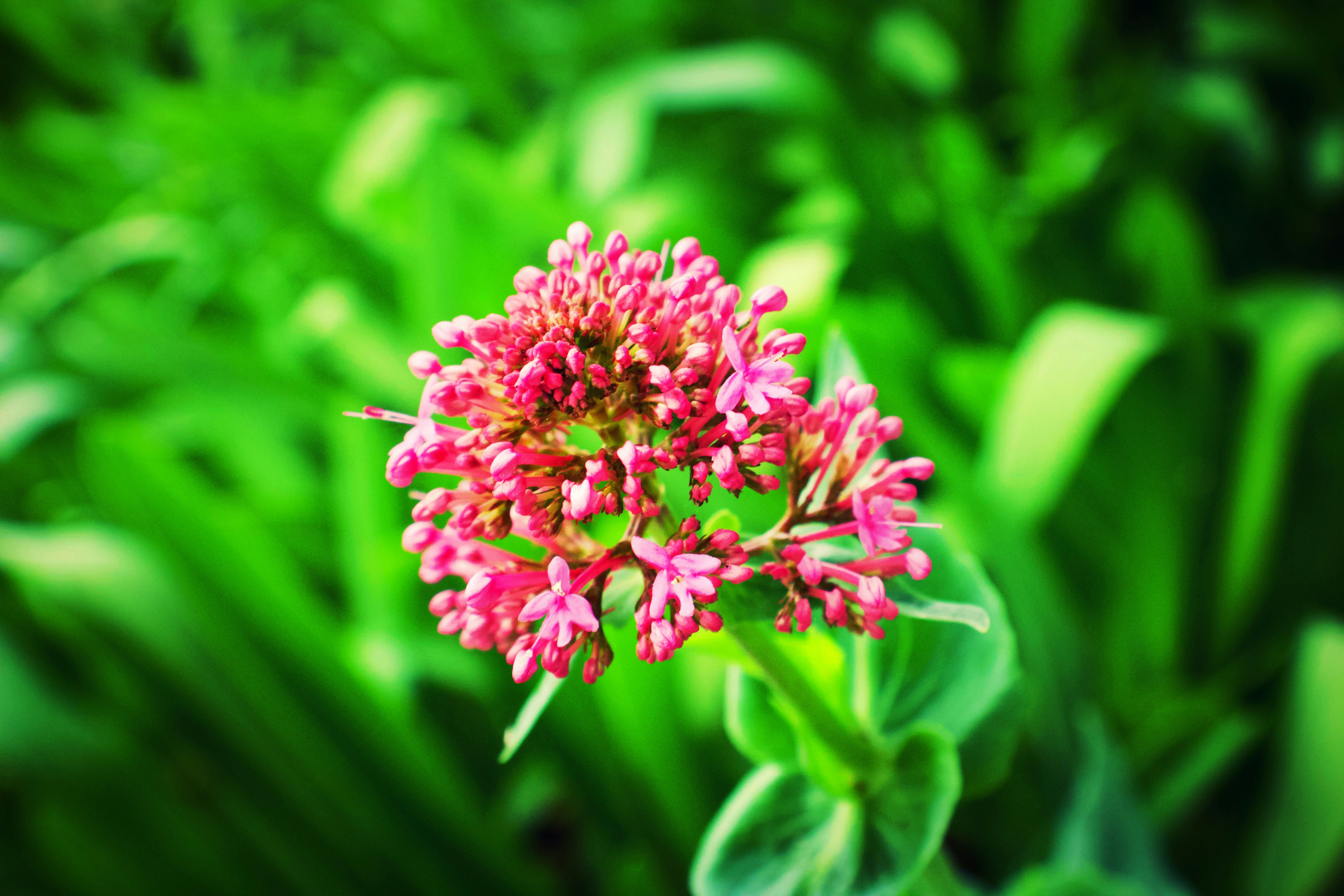 Photo by gabriellejace707