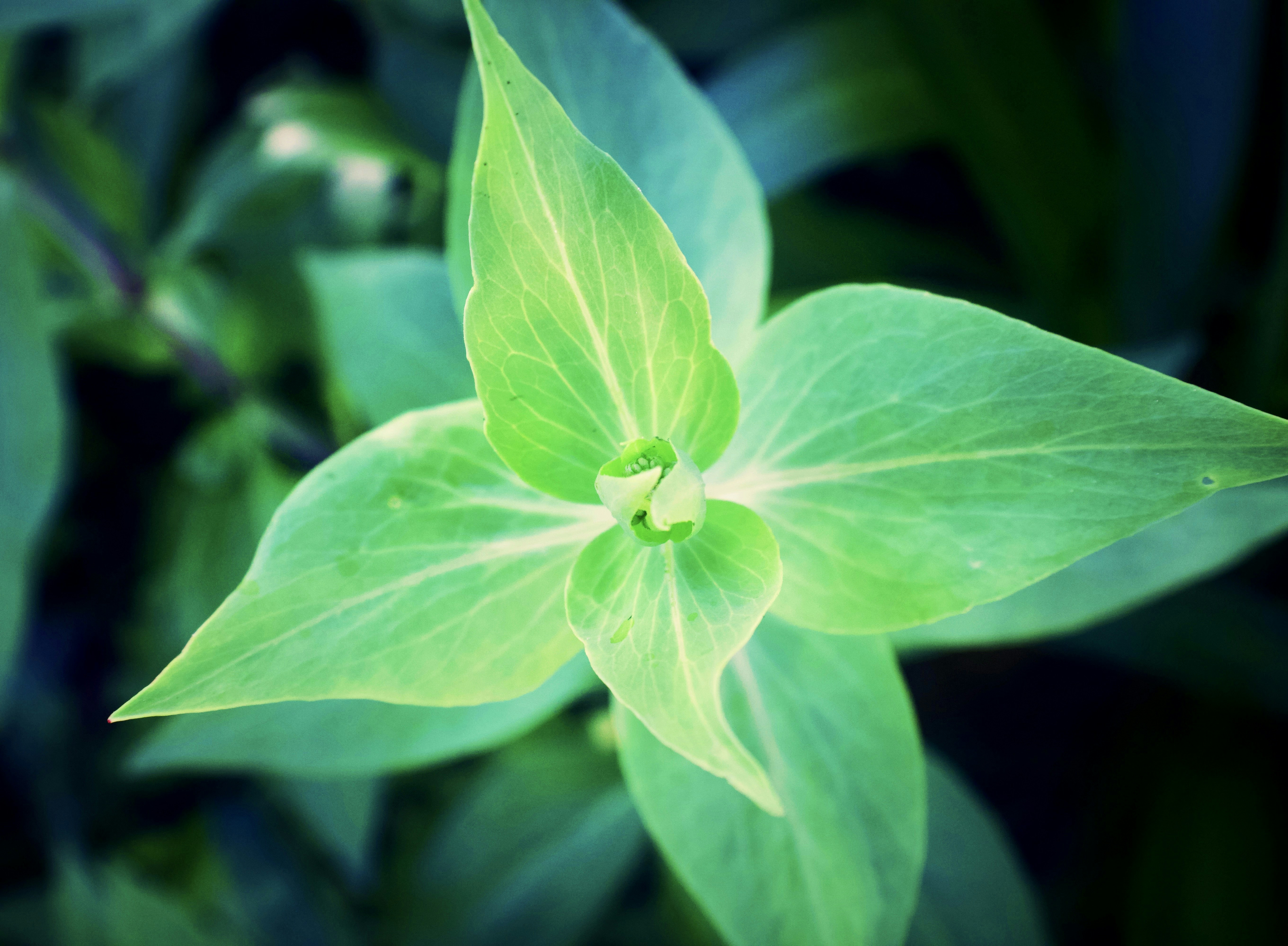 Photo by gabriellejace707