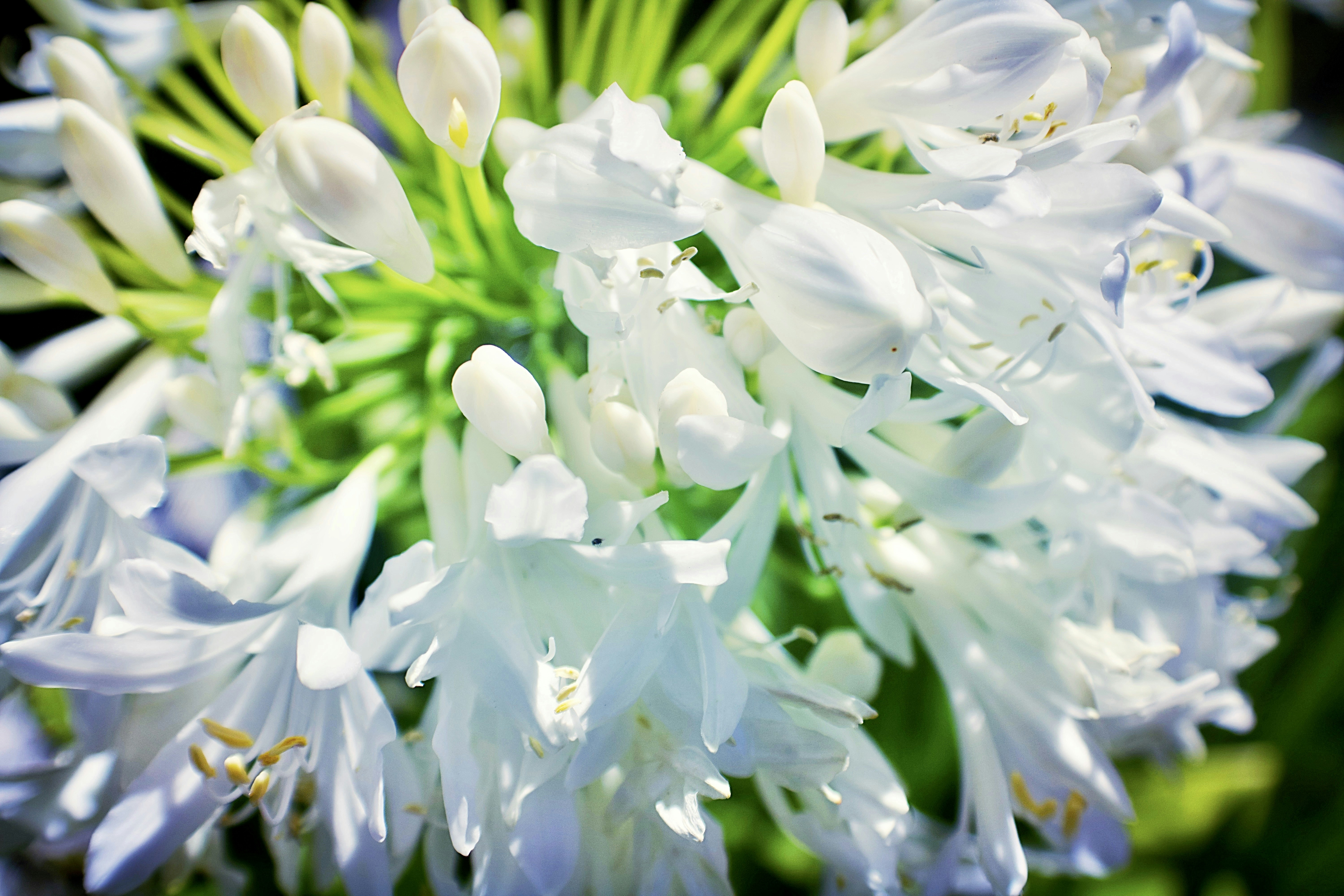 Photo by gabriellejace707