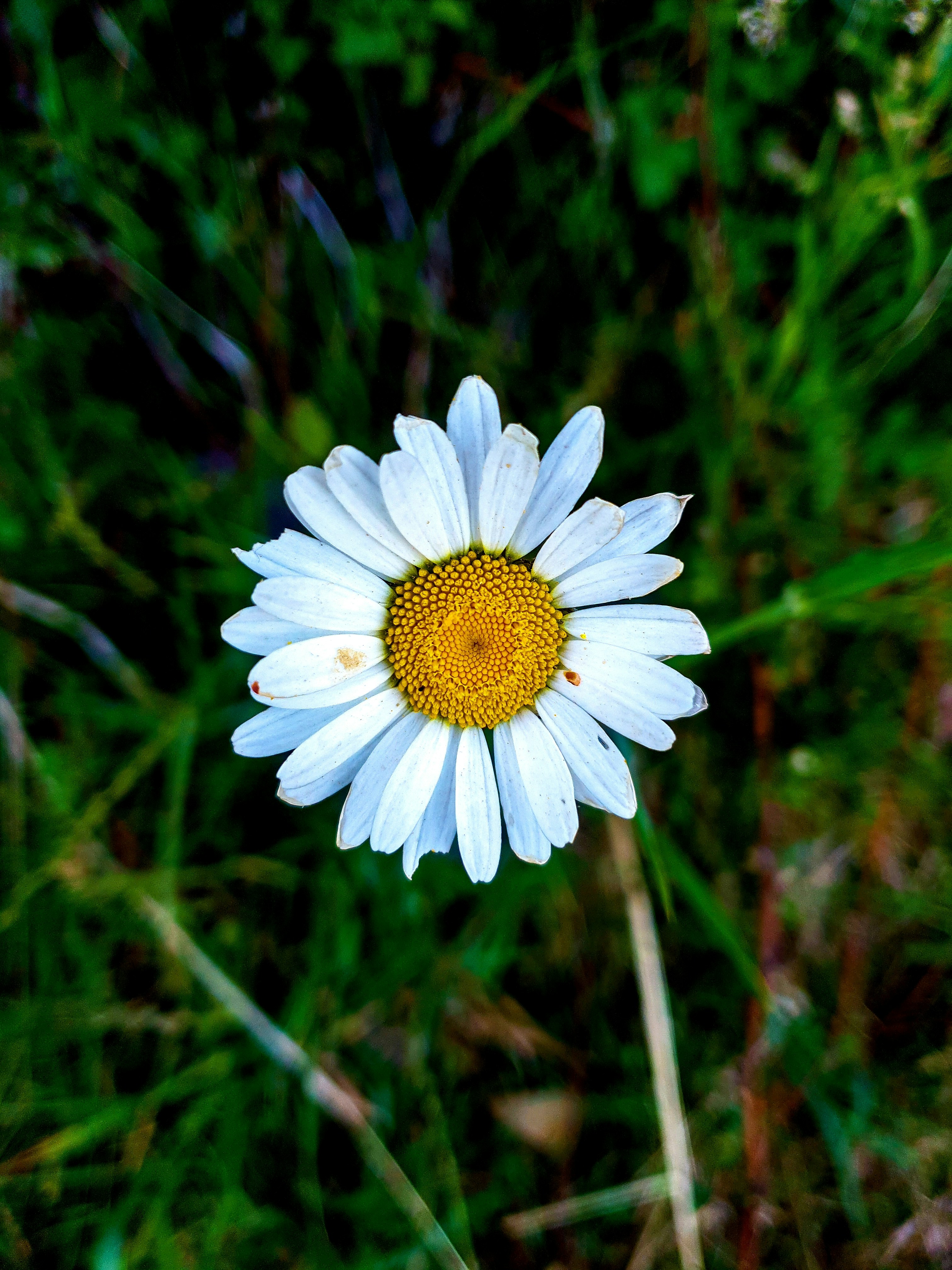 A photo shared by a visitor.