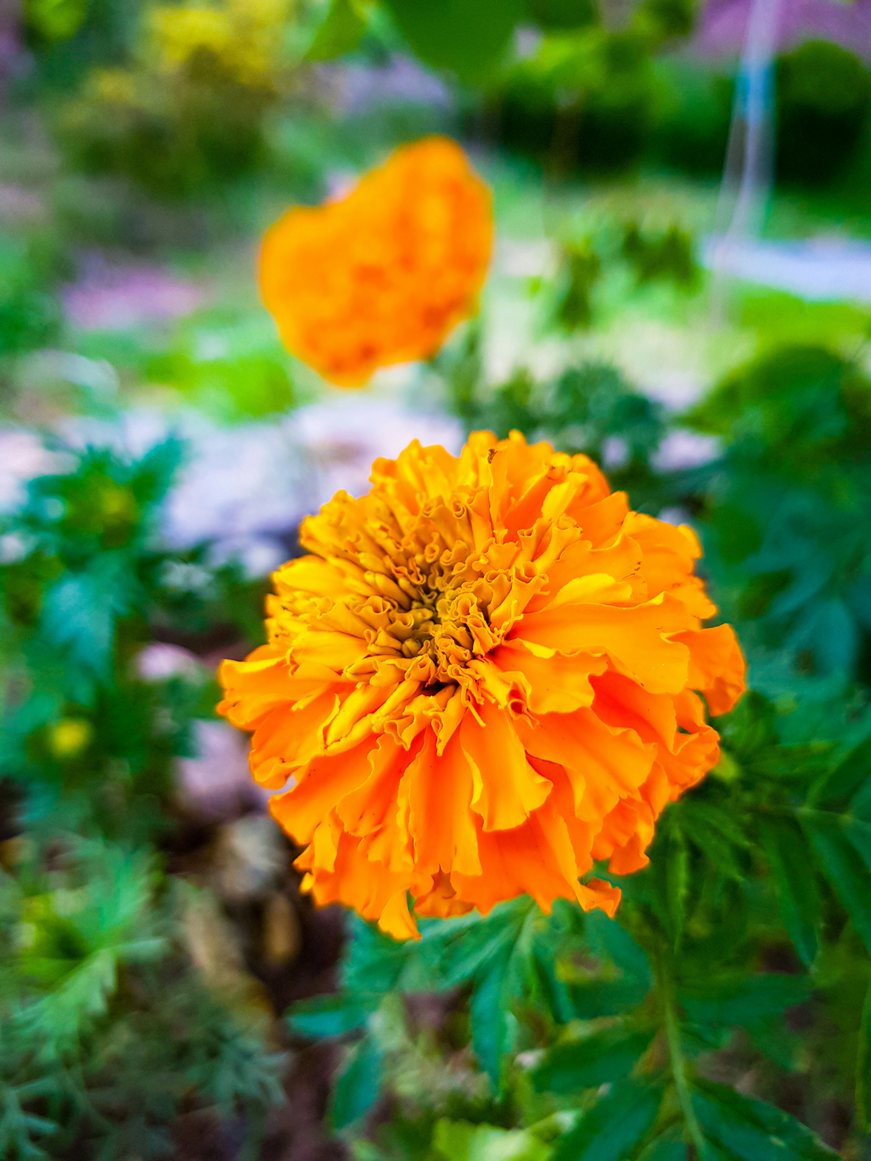 Photo by rehankhan2018