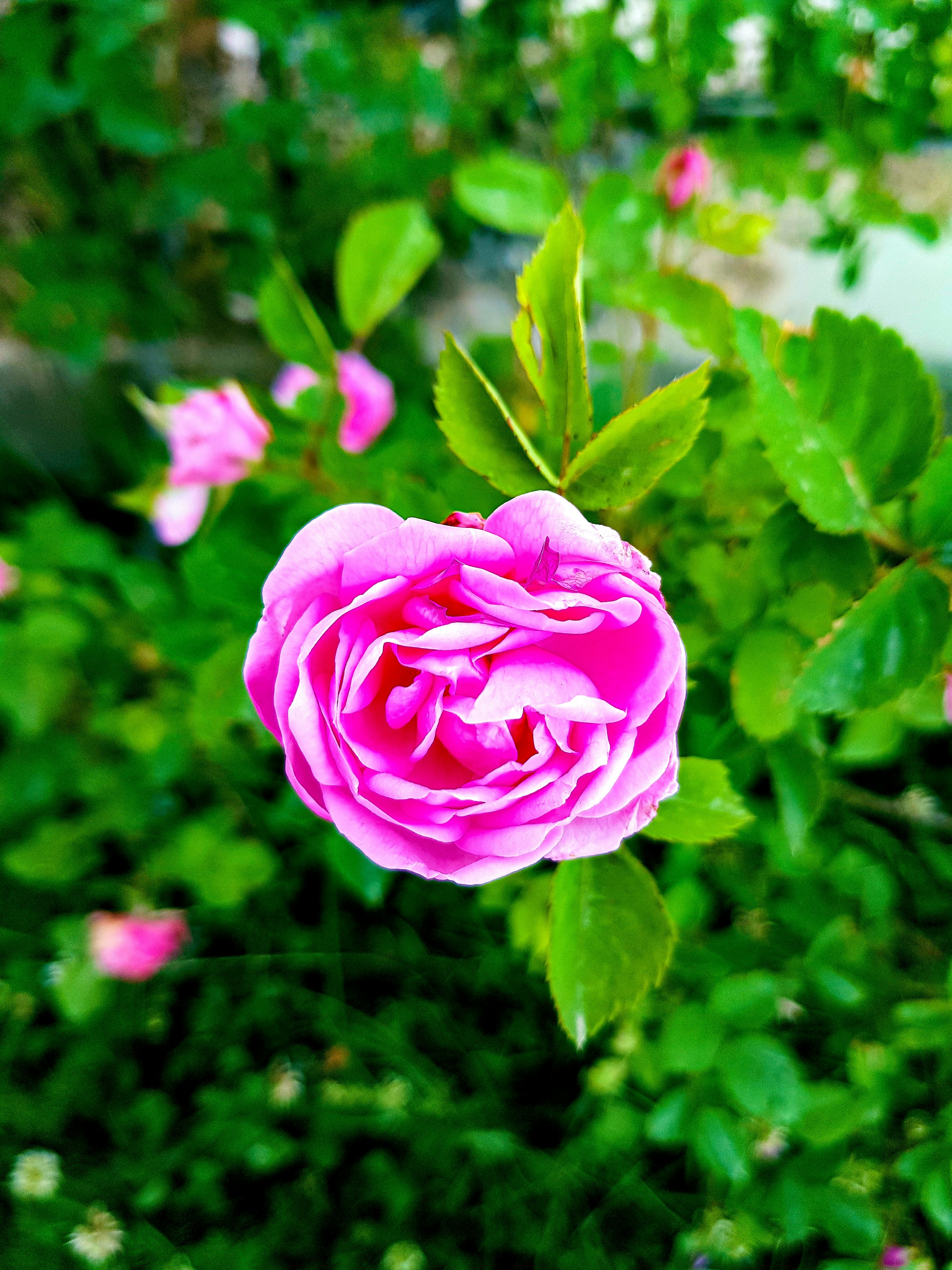 Photo by rehankhan2018