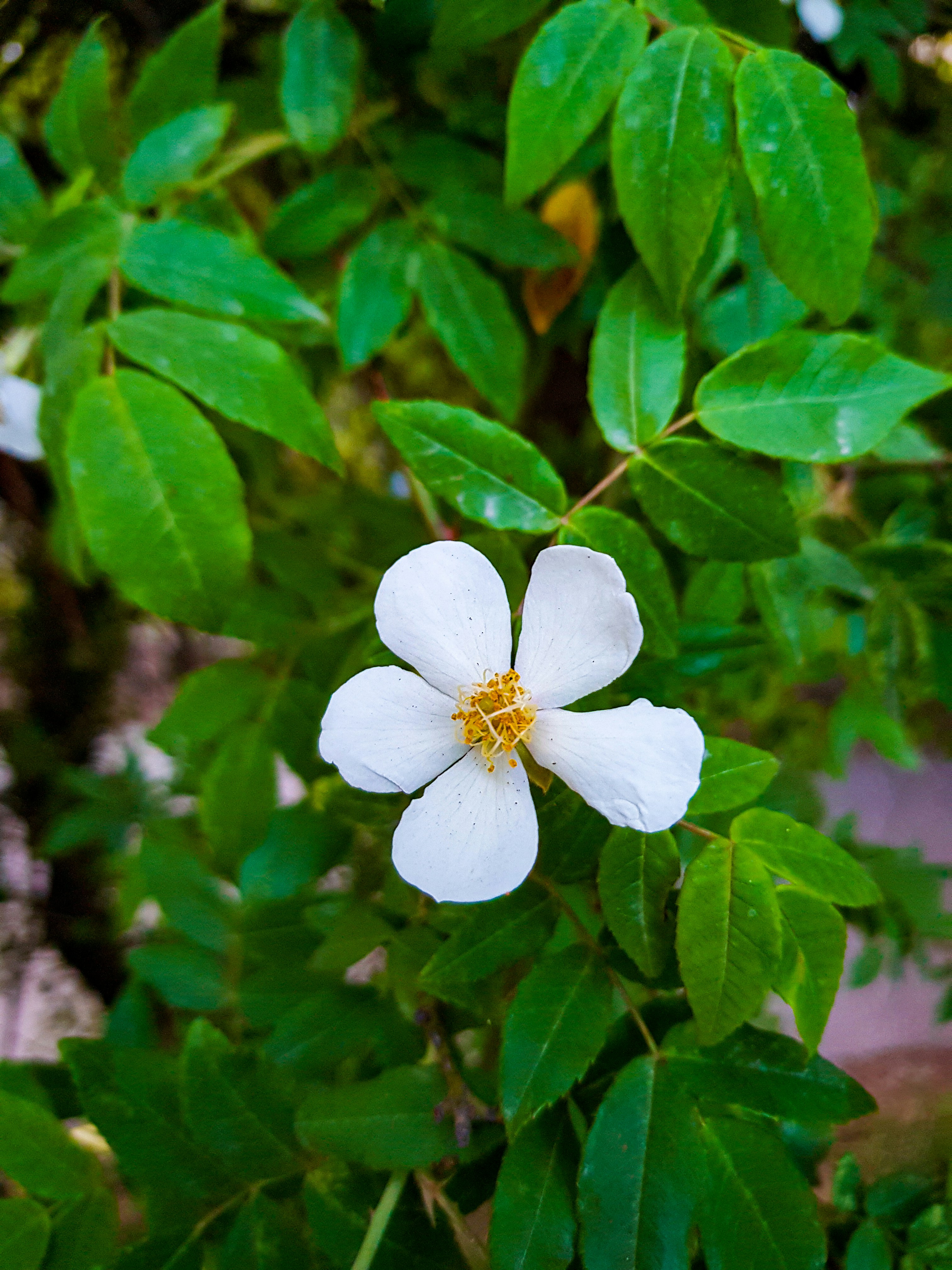 Photo by rehankhan2018