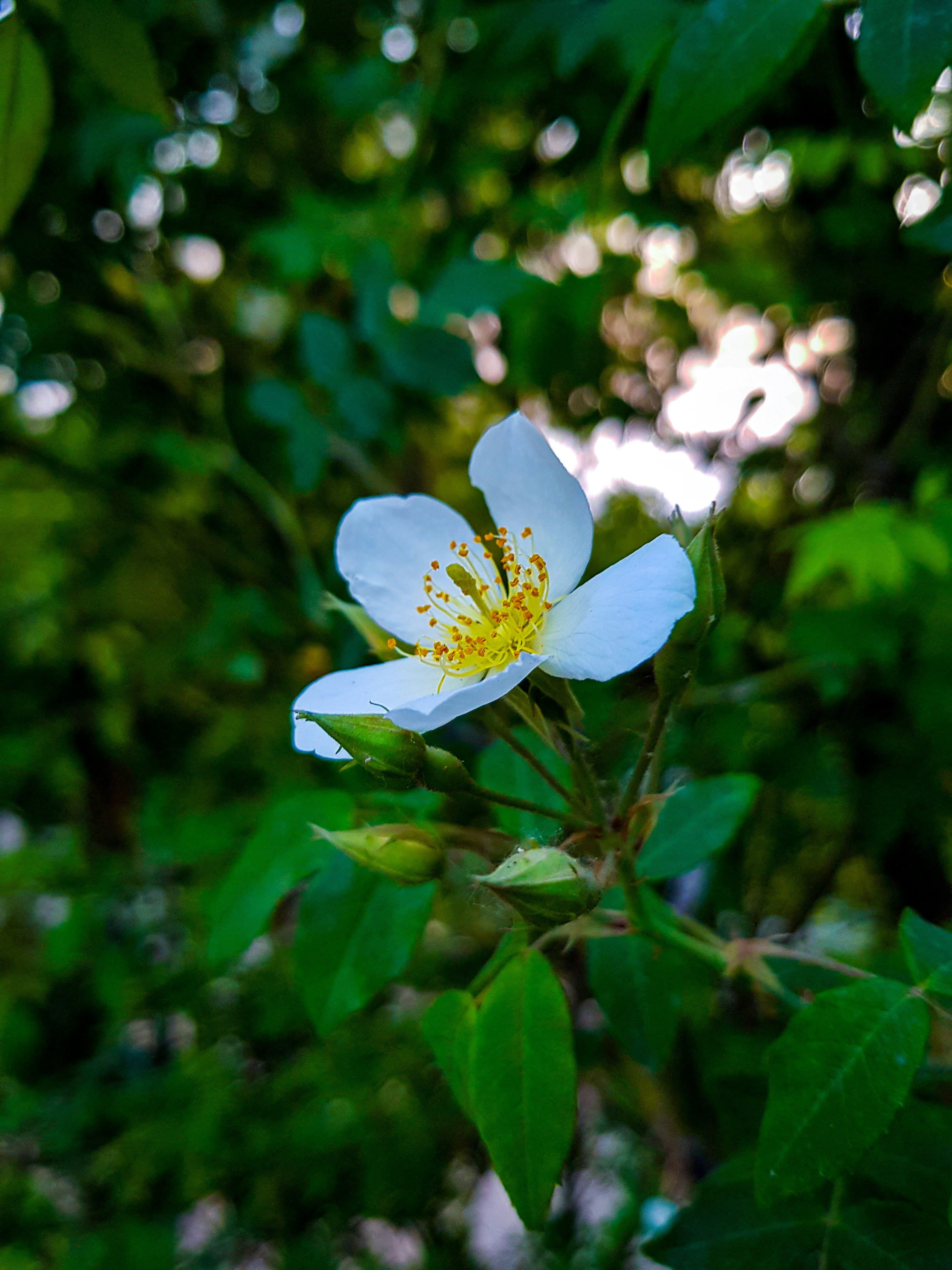 Photo by rehankhan2018