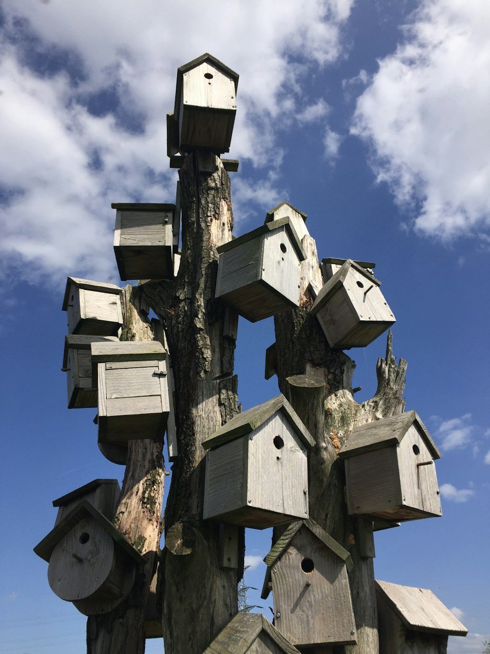 a bunch of bird houses on top of a tree