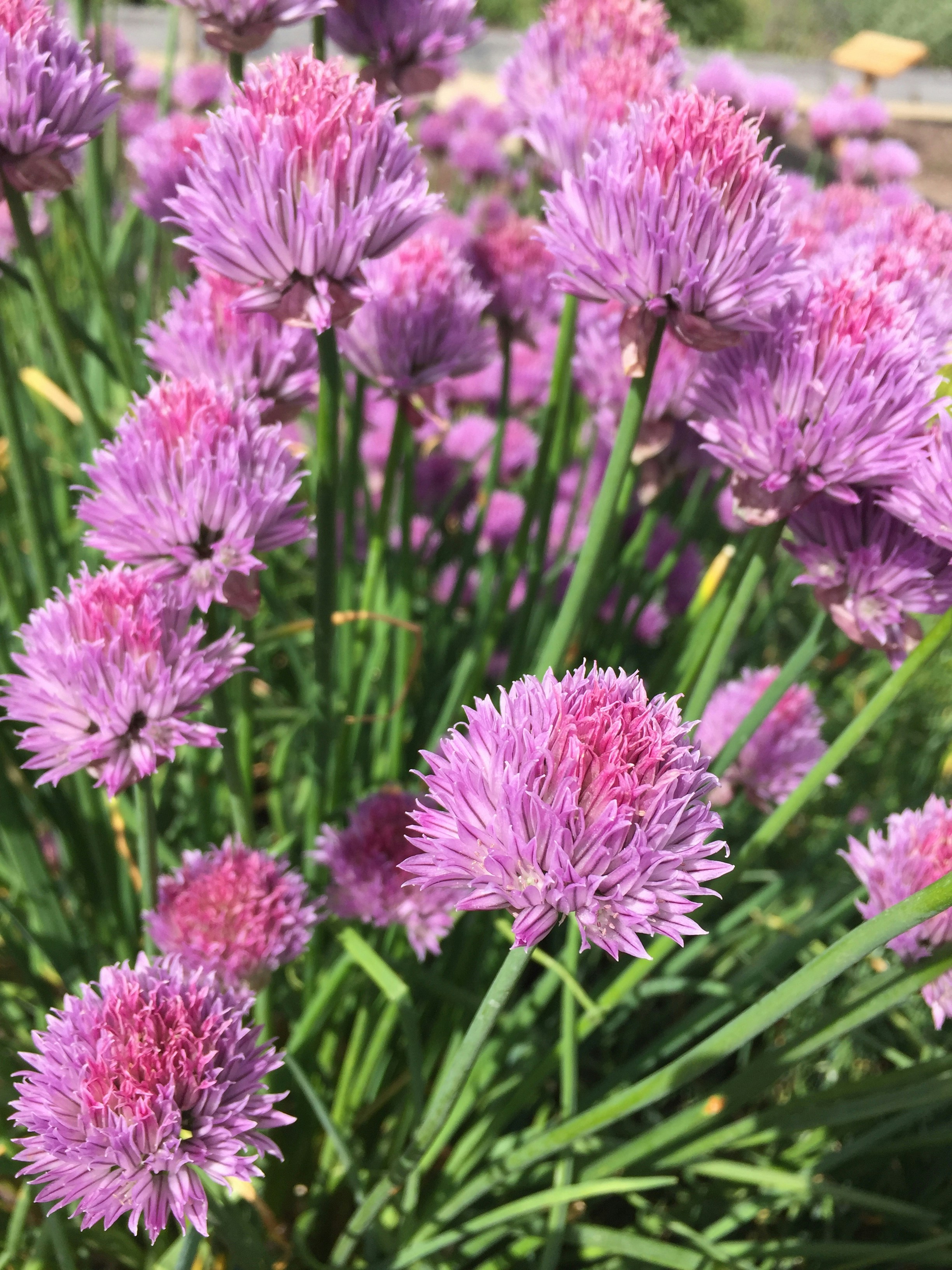 Photo by rosannagaddoni