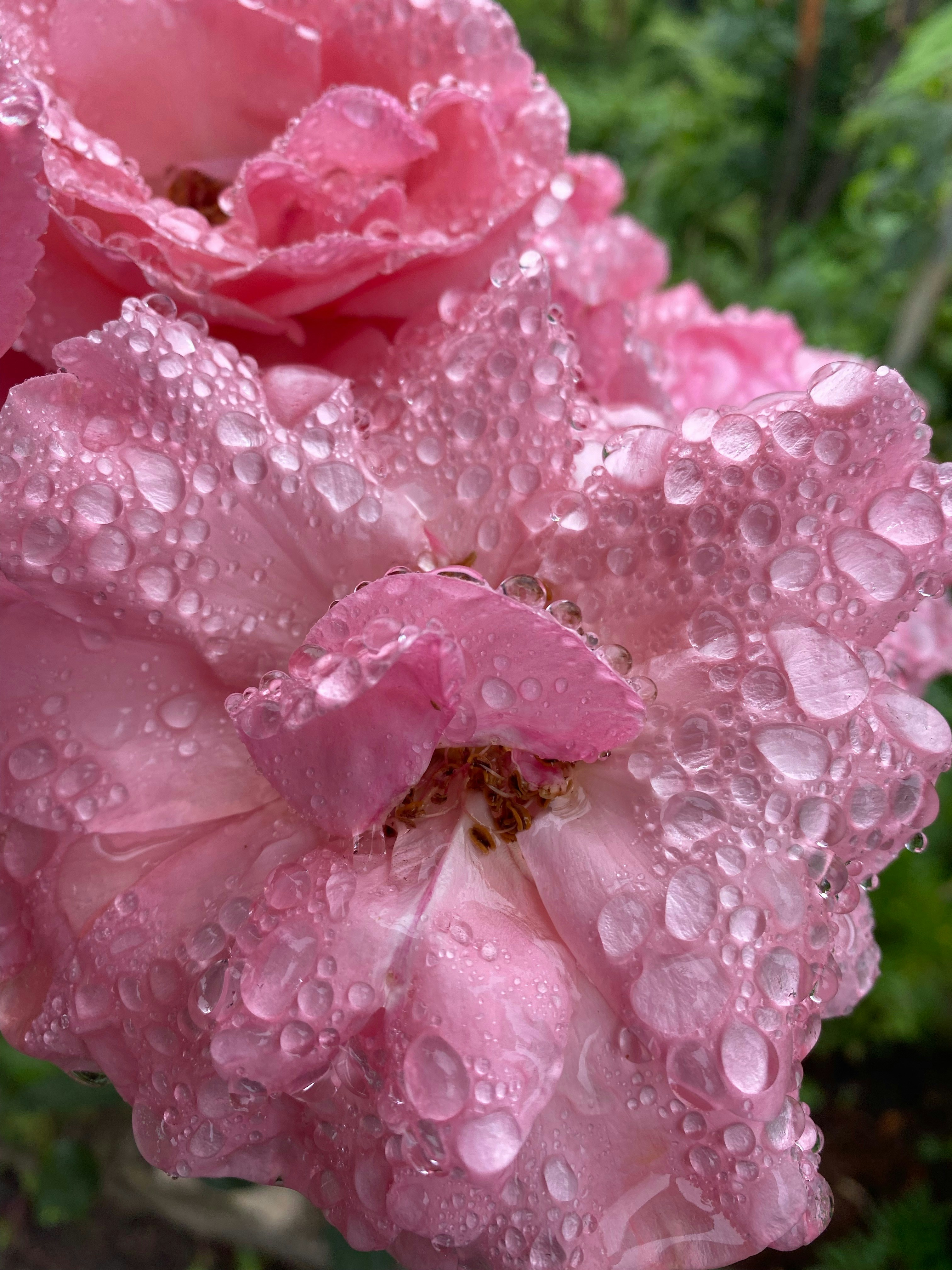 Photo by thallasophile