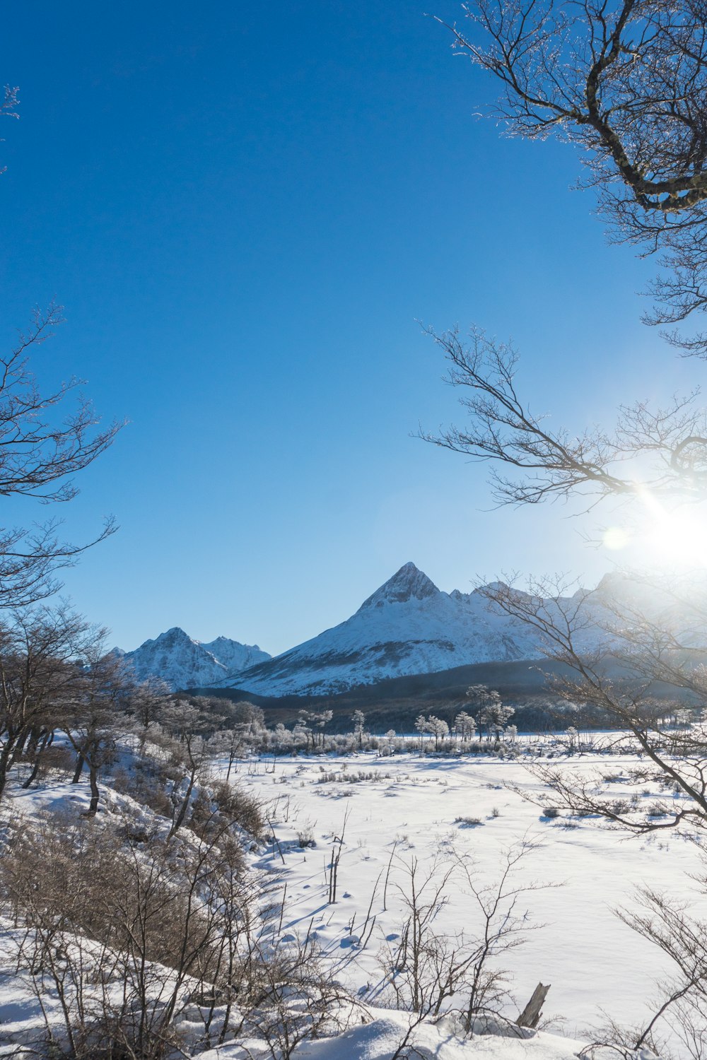 a snow covered field with trees and mountains in the background