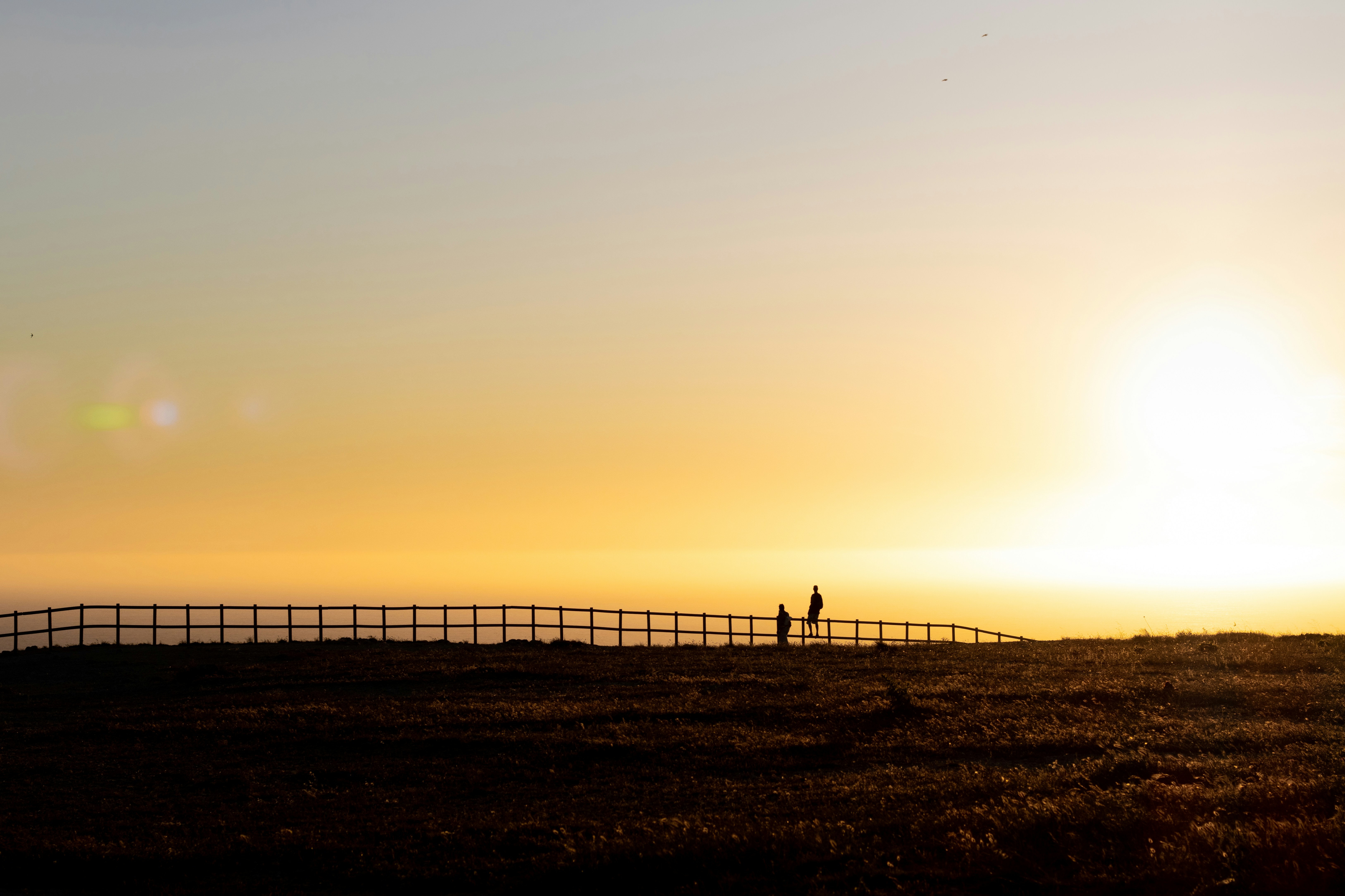 Photo by ritacandeias