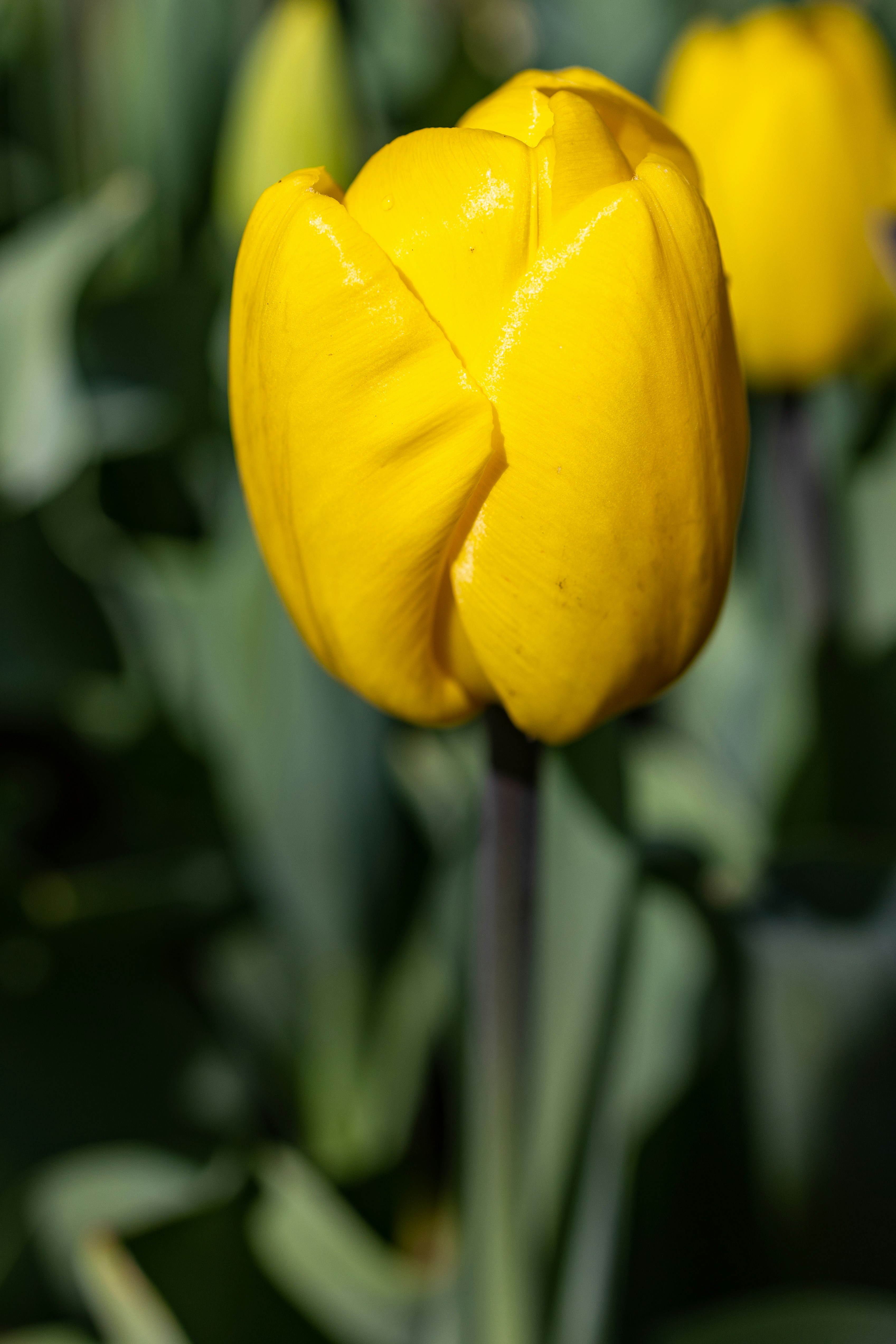 Photo by ritacandeias