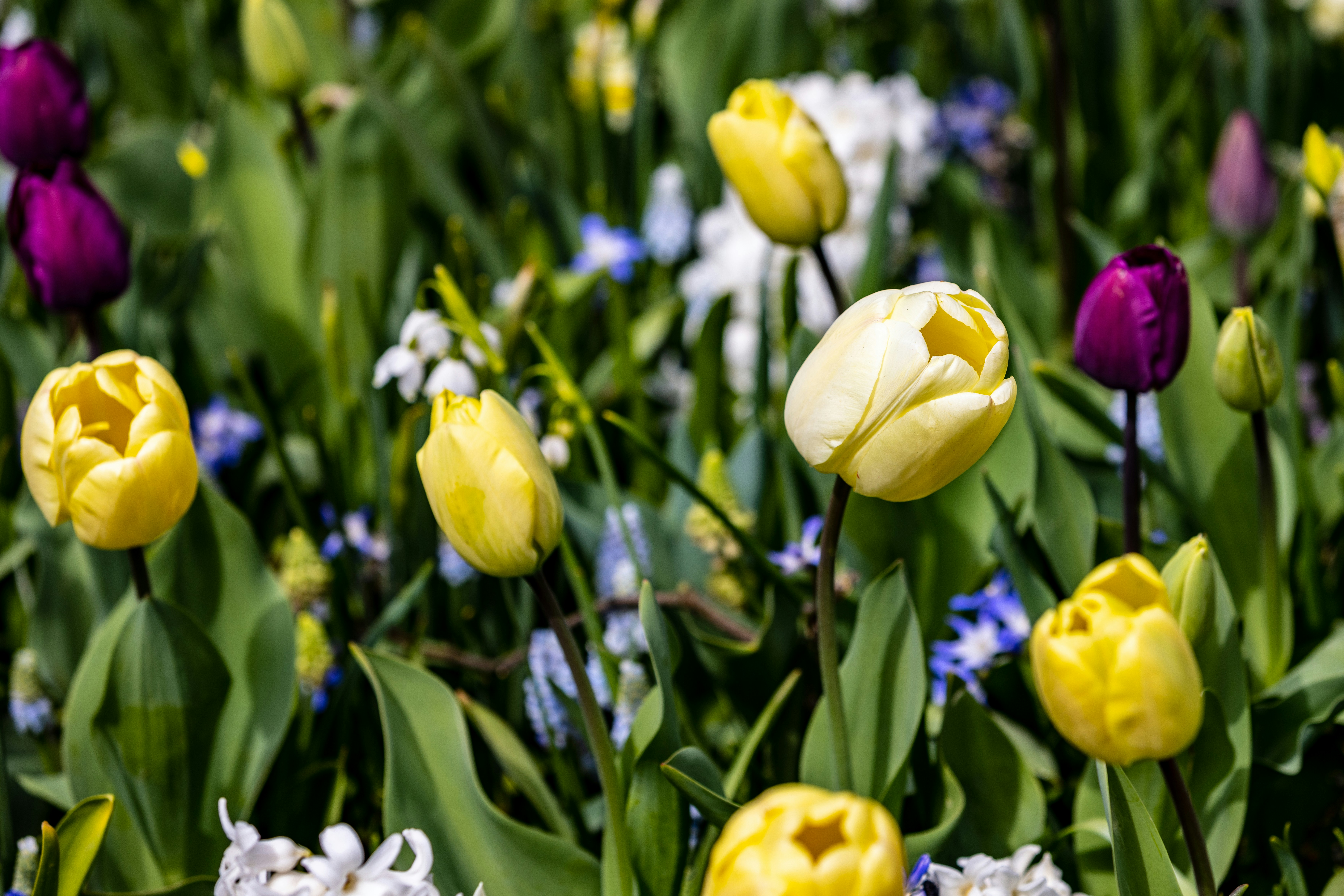 Photo by ritacandeias