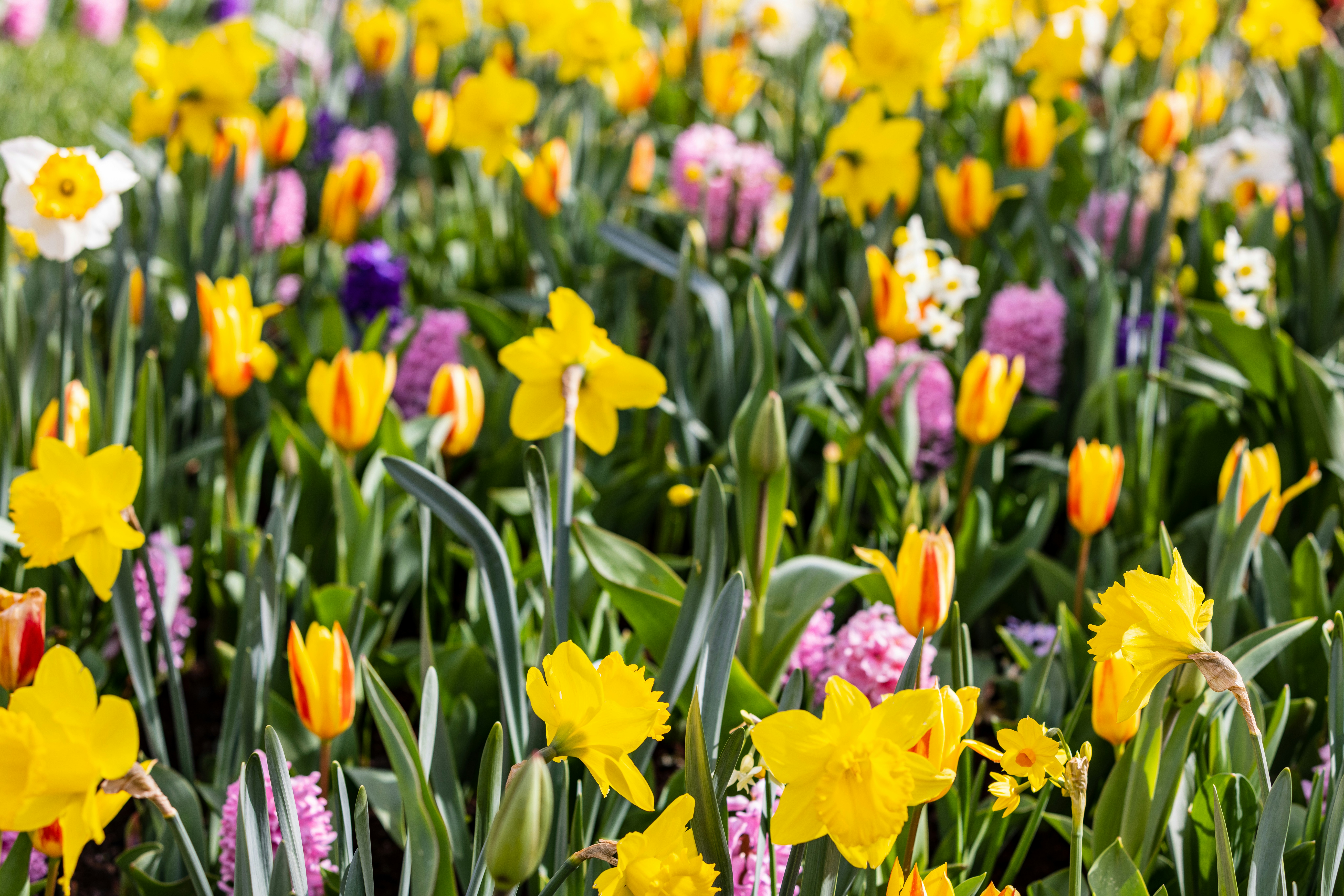 Photo by ritacandeias