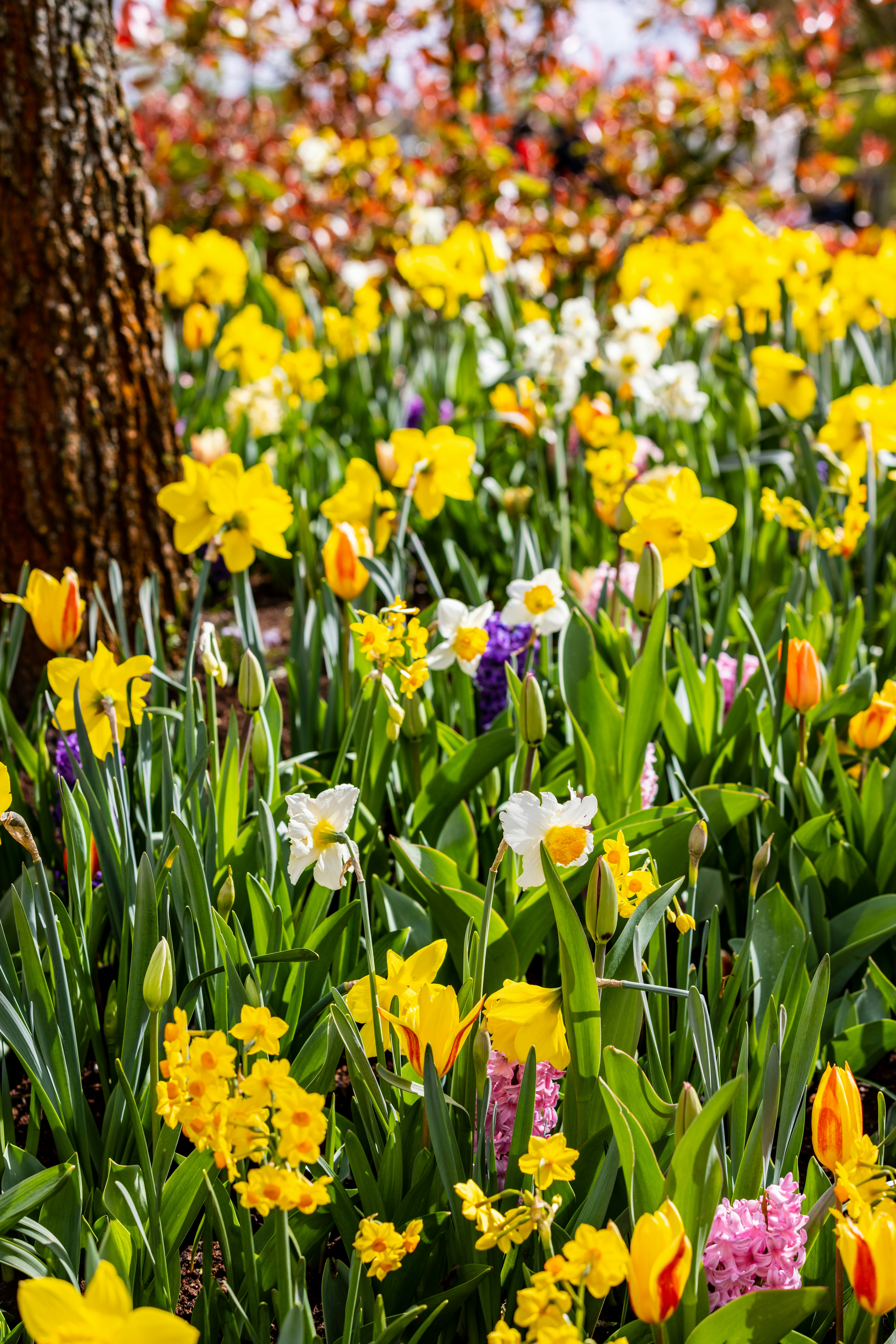 Photo by ritacandeias