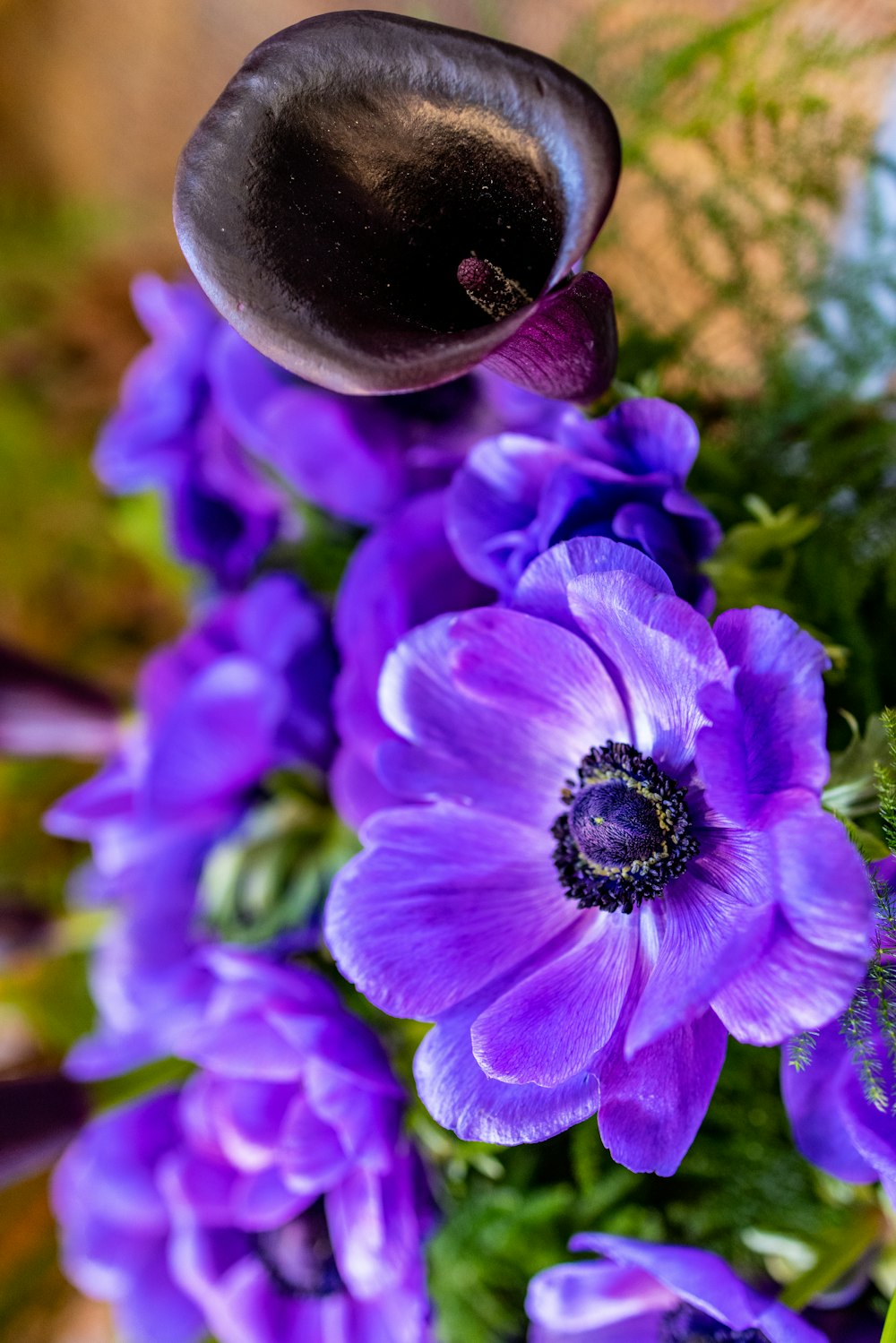 a bouquet of purple flowers with a black button
