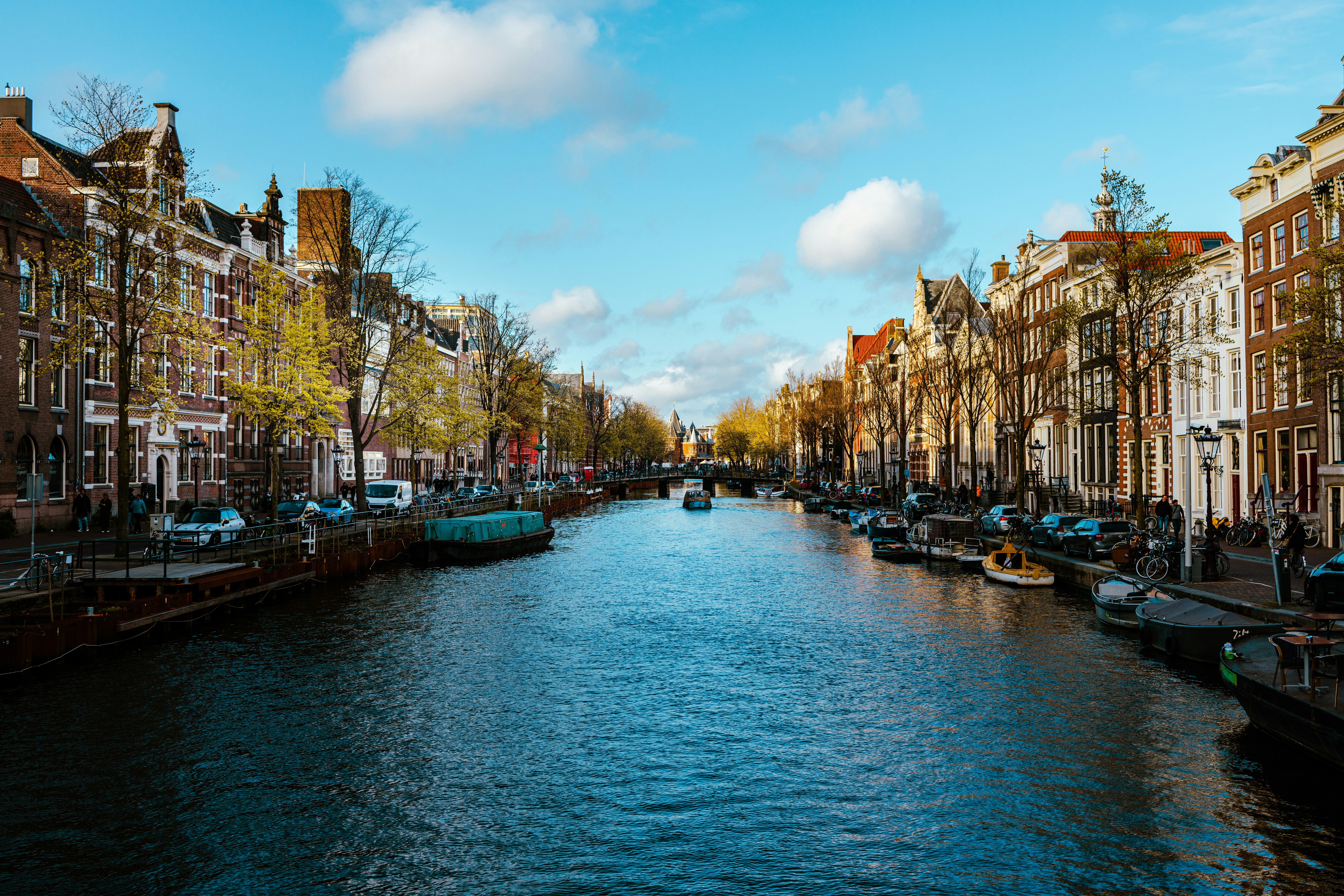 Photo by ritacandeias