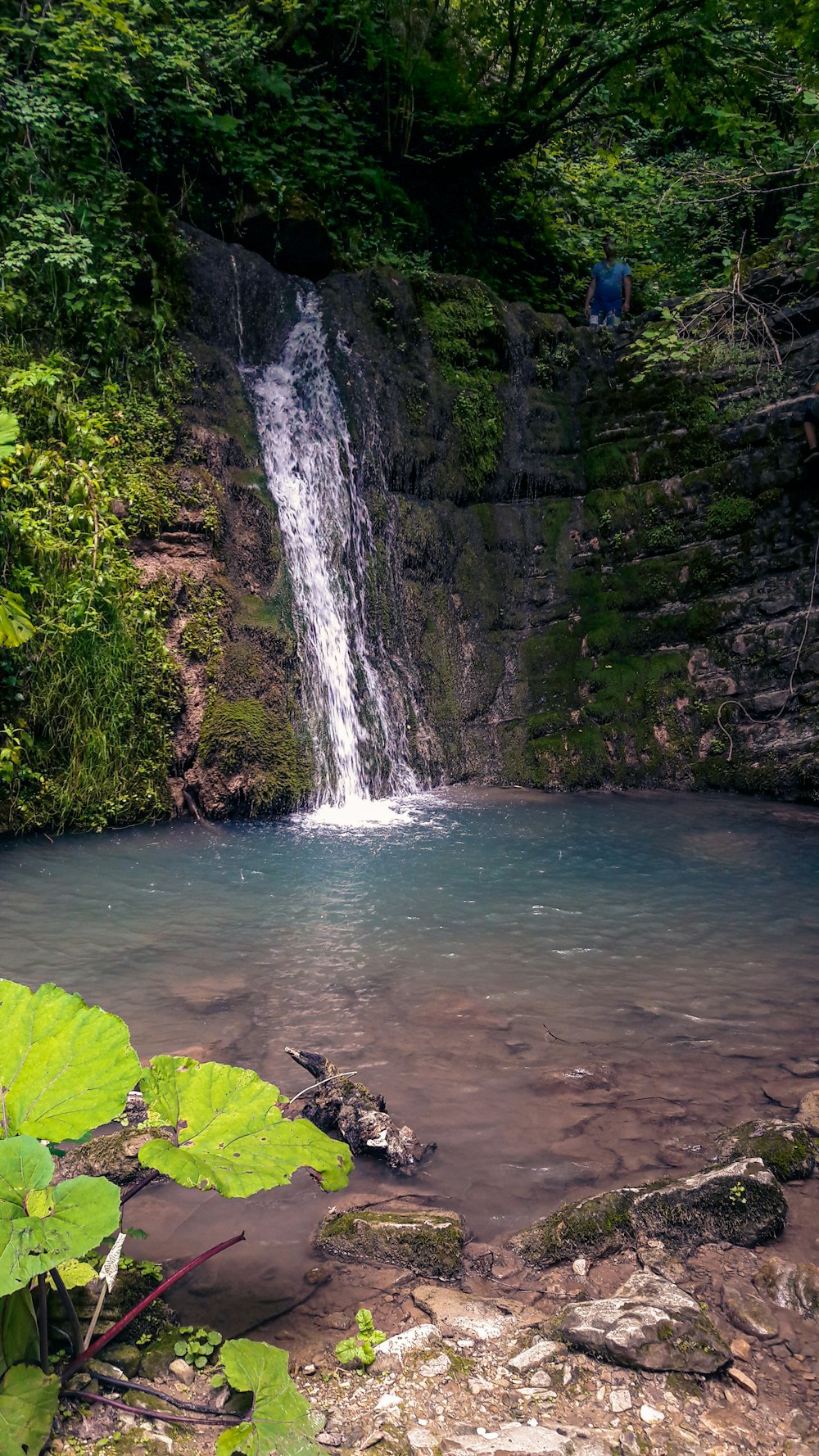 a small waterfall in the middle of a forest