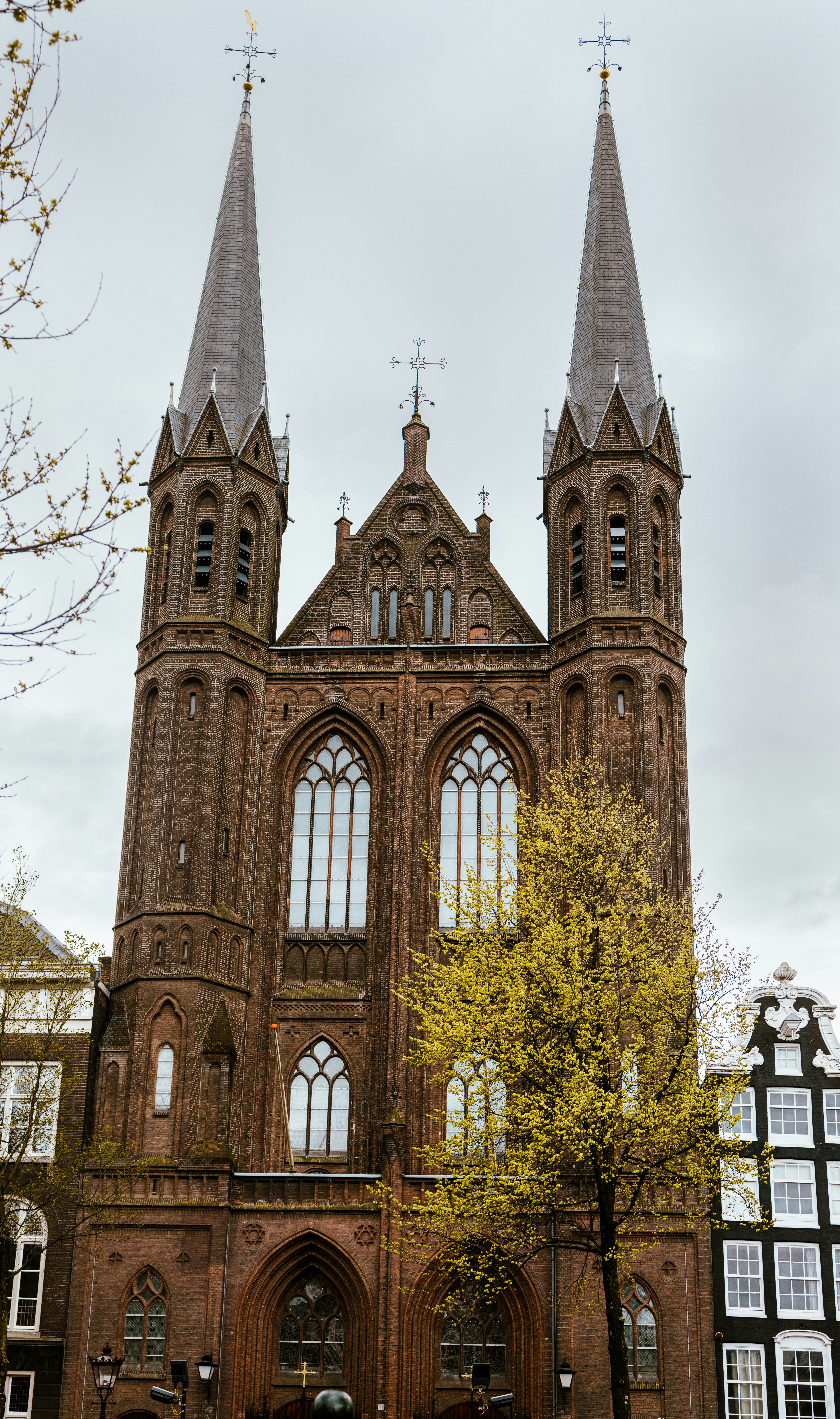 Photo by ritacandeias