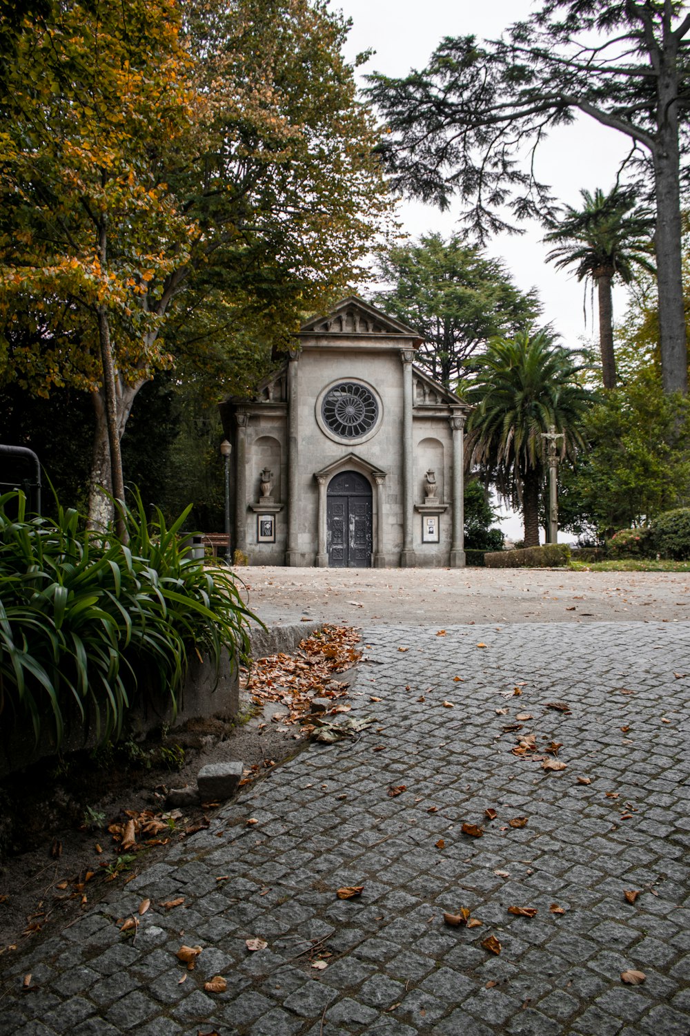 a clock tower in the middle of a park