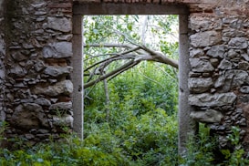 A doorway made of rustic stone leads to a dense and vibrant forest. The lush greenery is prominent, with branches and leaves spilling through the open frame, creating a contrast between the man-made structure and the untamed nature beyond.