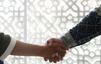 a close up of two people shaking hands